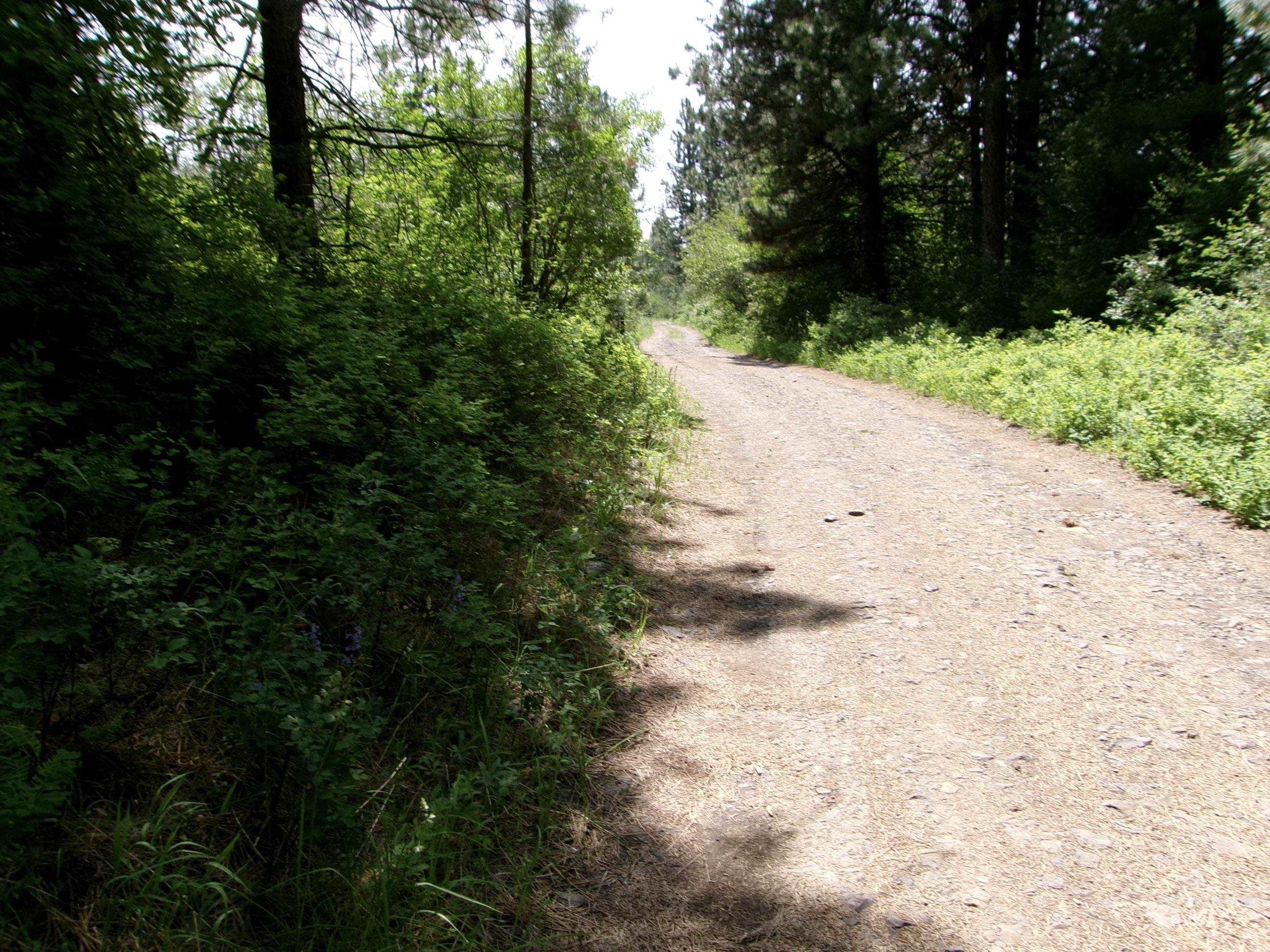 Nna 8 Ac Jackpine Property Photo 33
