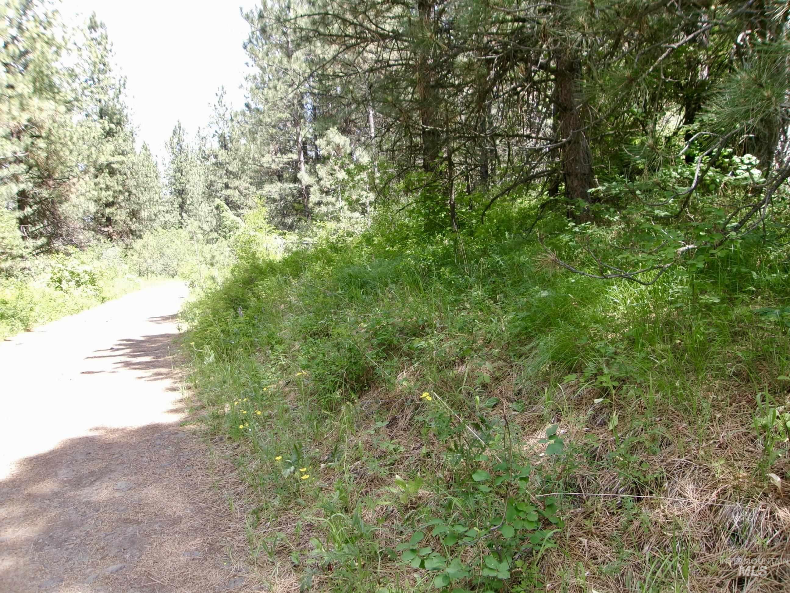 Nna 8 Ac Jackpine Property Photo 34