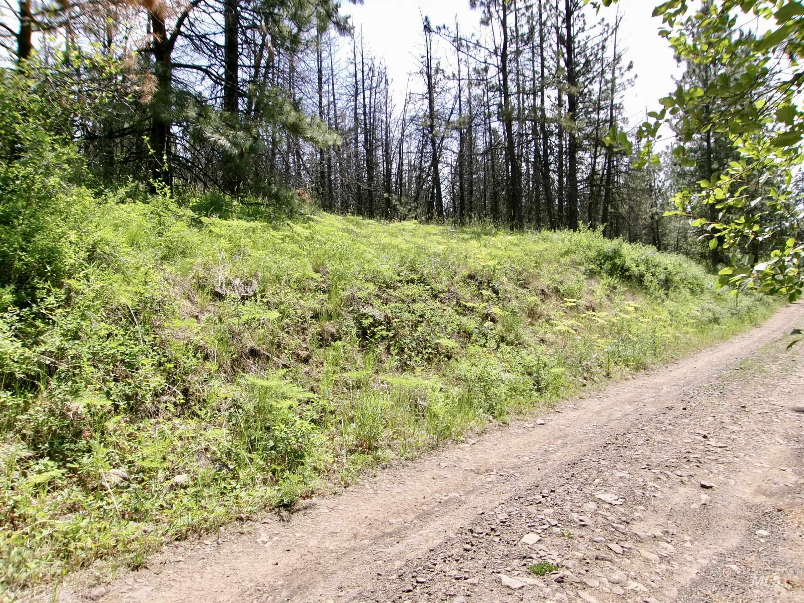 Nna 8 Ac Jackpine Property Photo 35