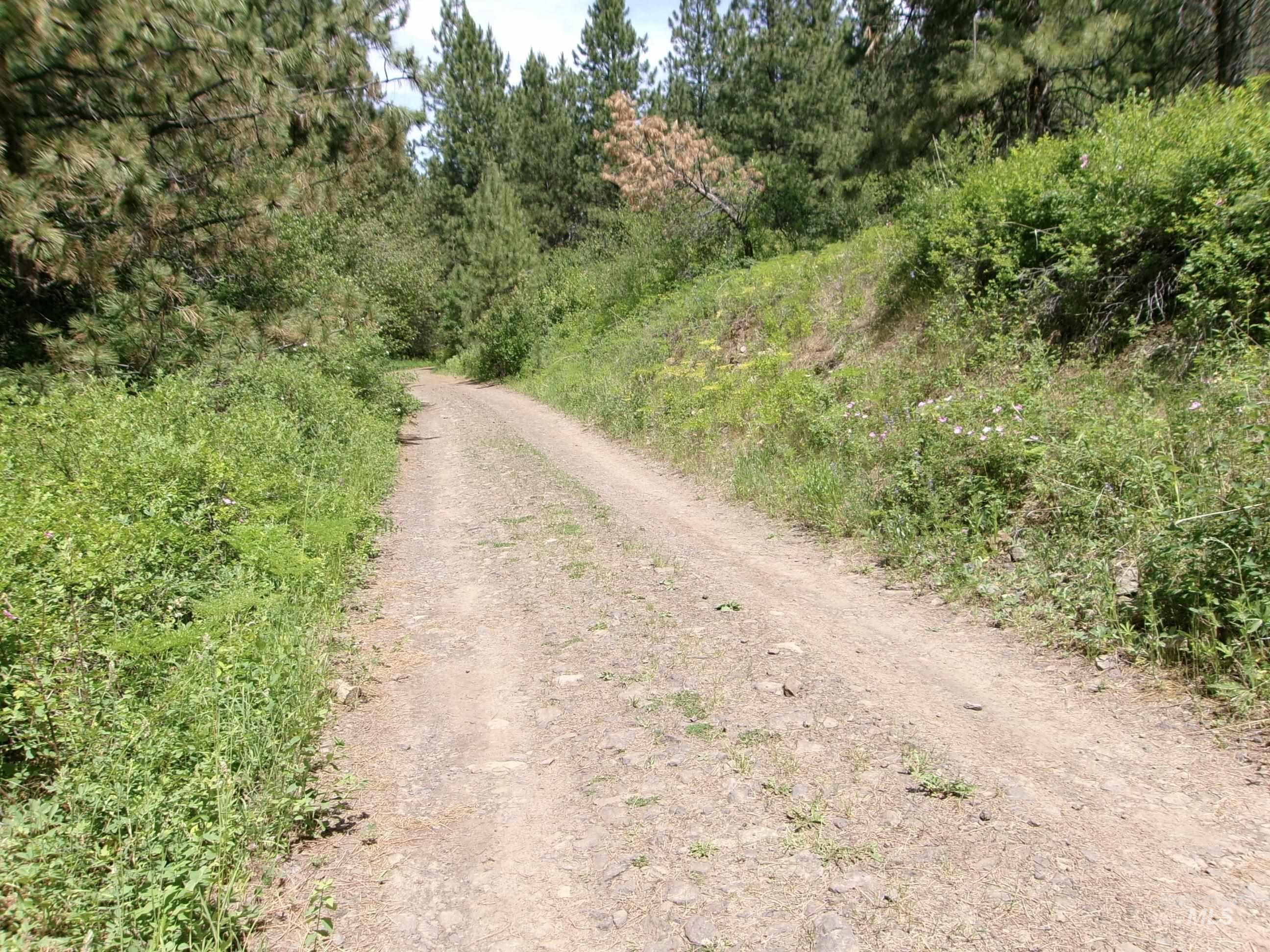 Nna 8 Ac Jackpine Property Photo 37