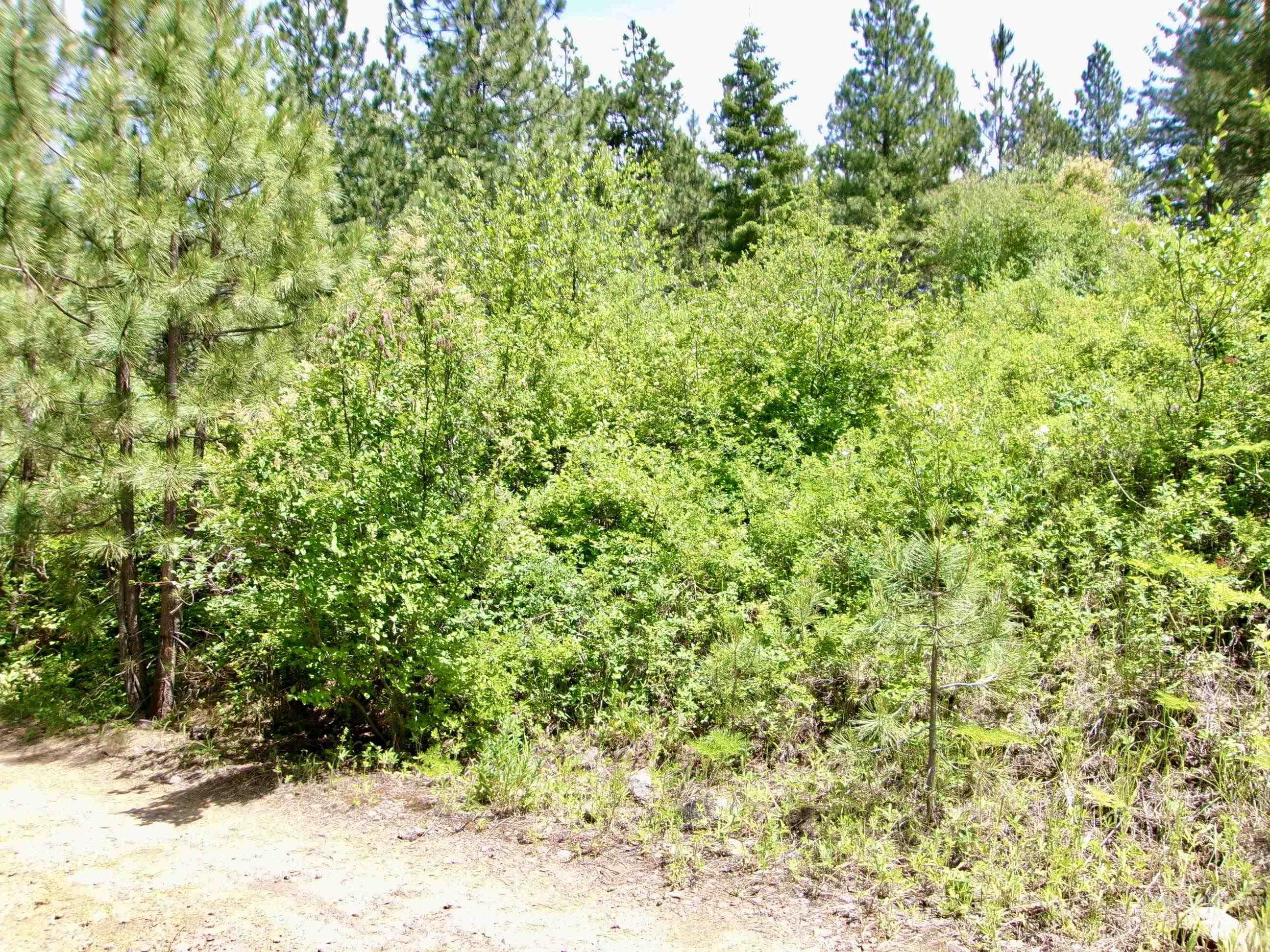 Nna 8 Ac Jackpine Property Photo 38
