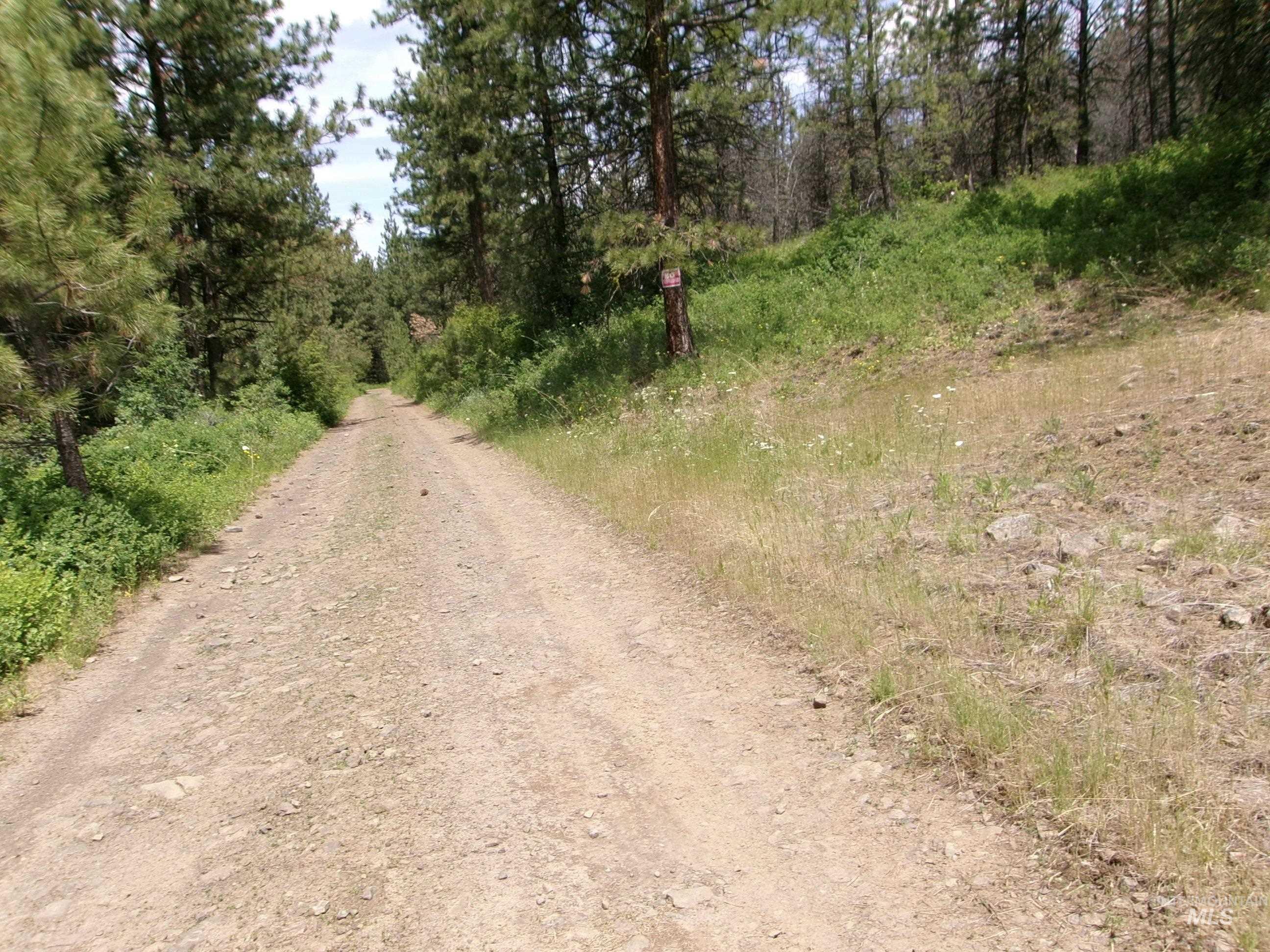 Nna 8 Ac Jackpine Property Photo 39