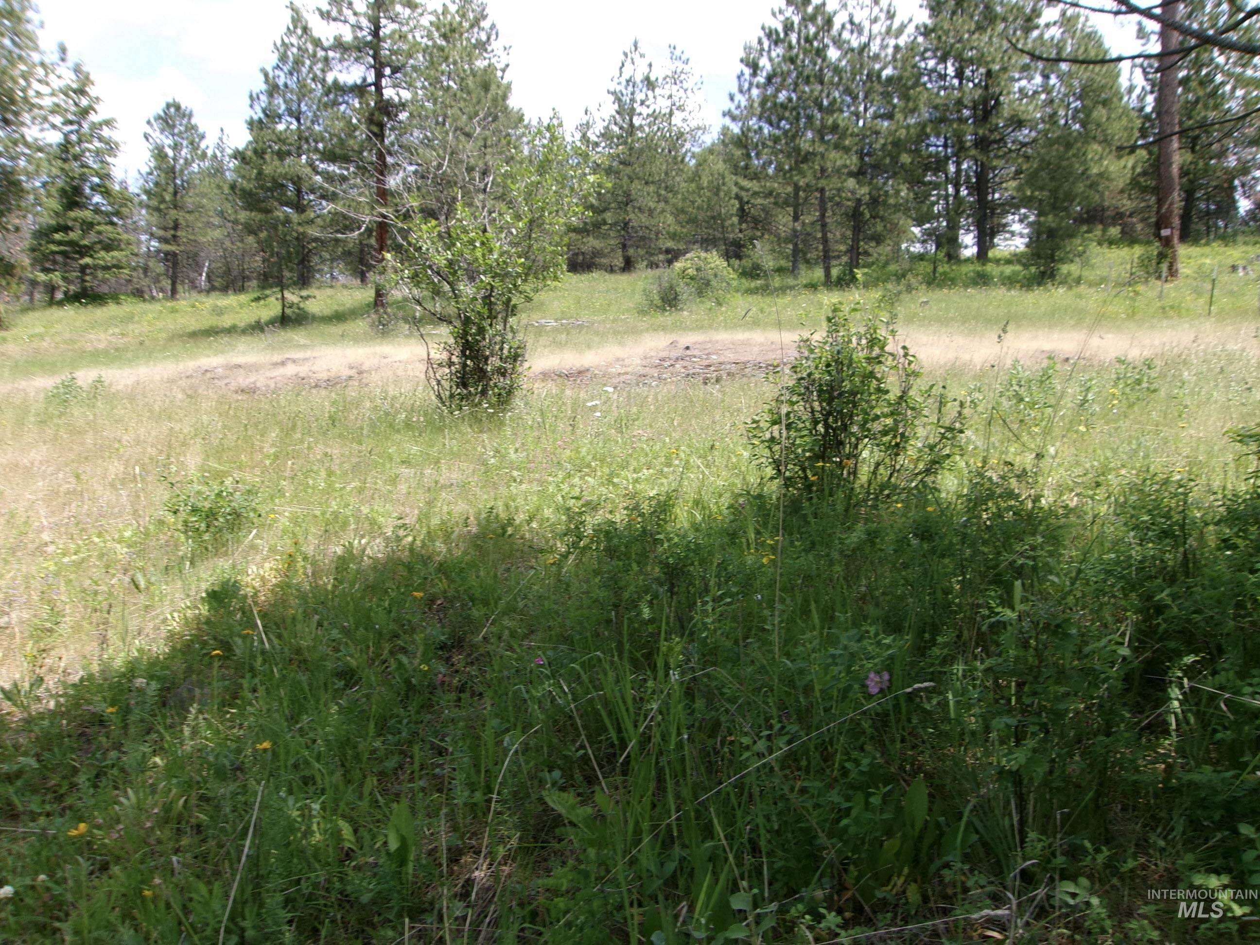 Nna 8 Ac Jackpine Property Photo 41