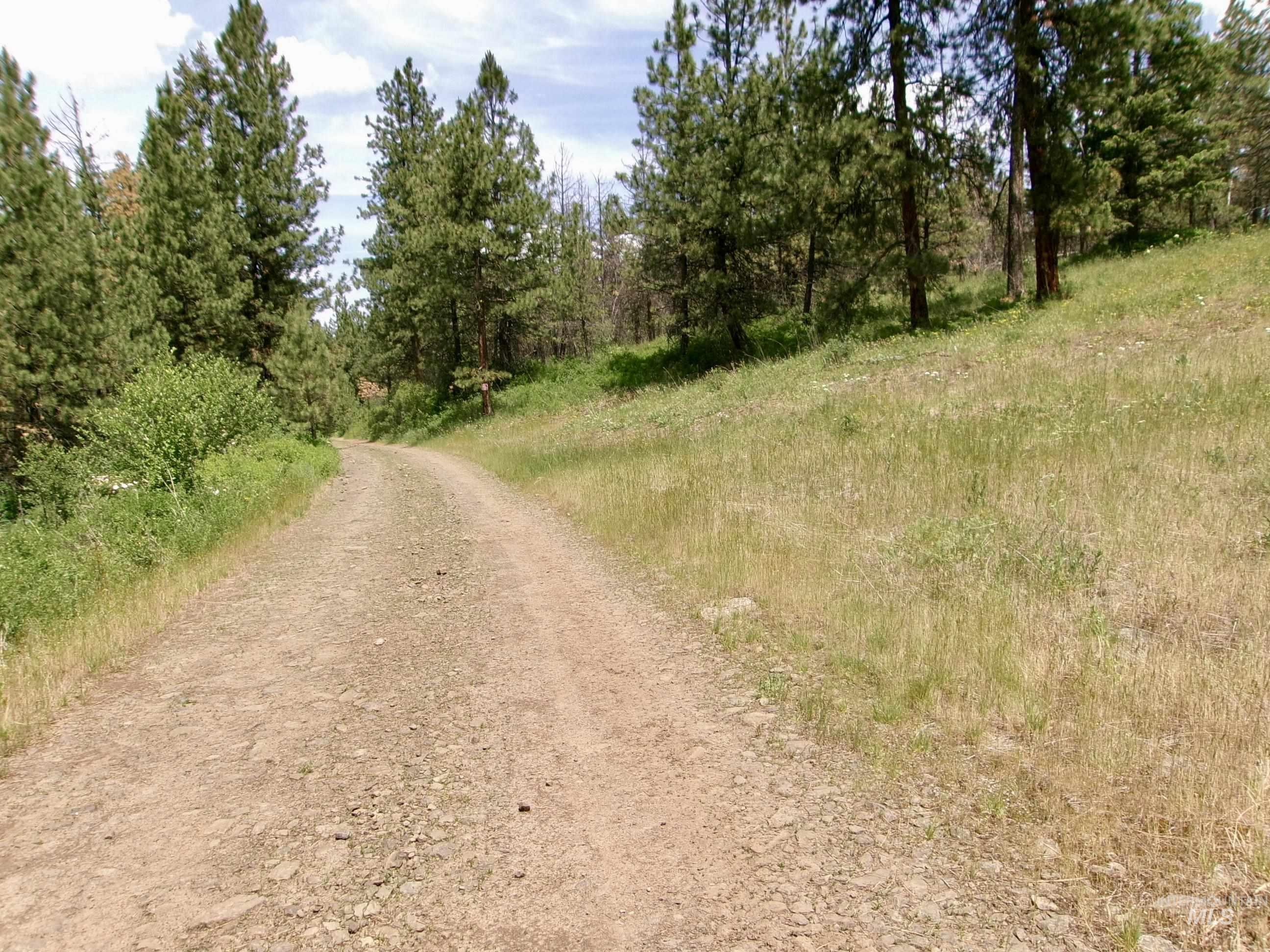 Nna 8 Ac Jackpine Property Photo 42