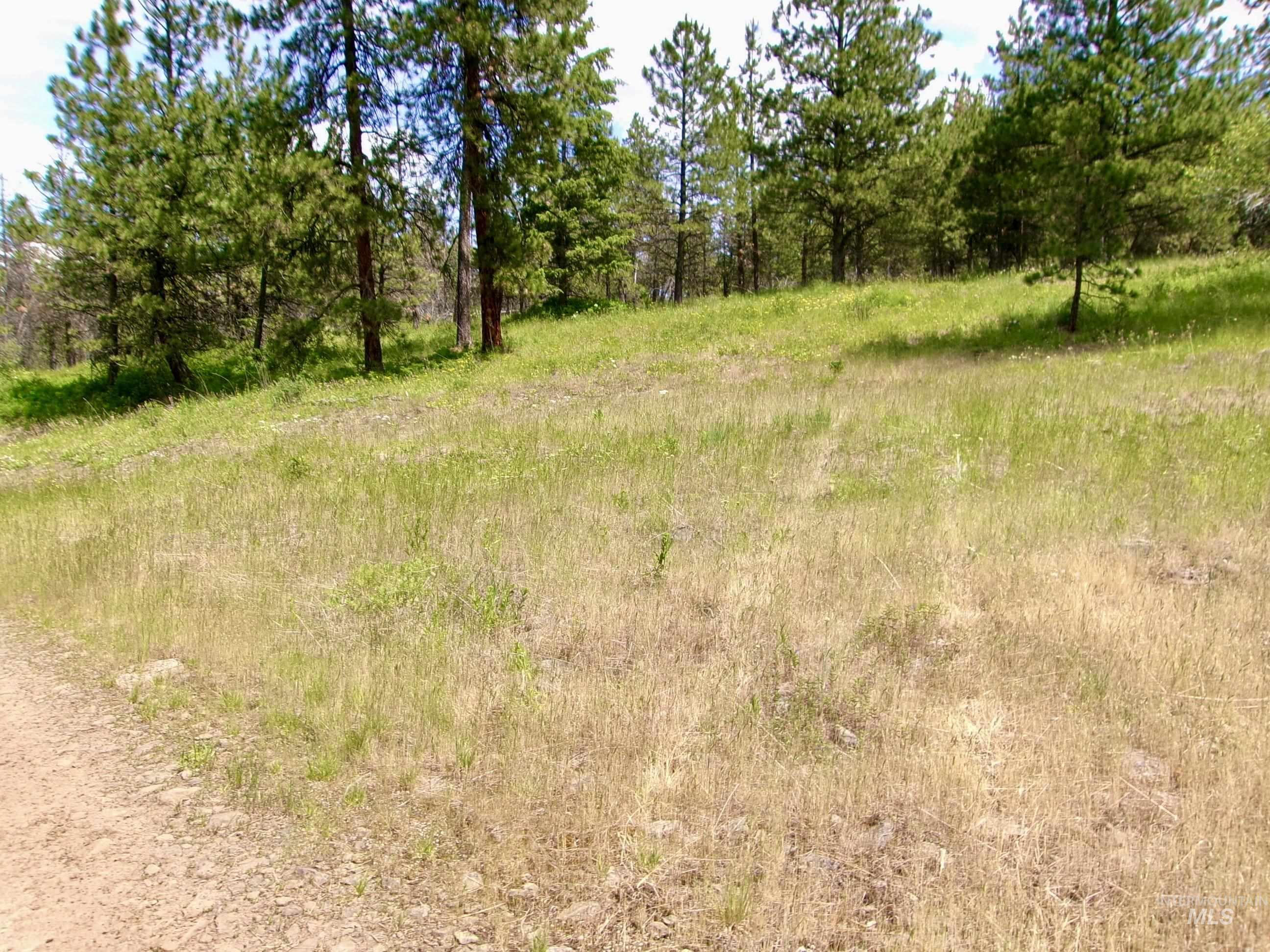Nna 8 Ac Jackpine Property Photo 43