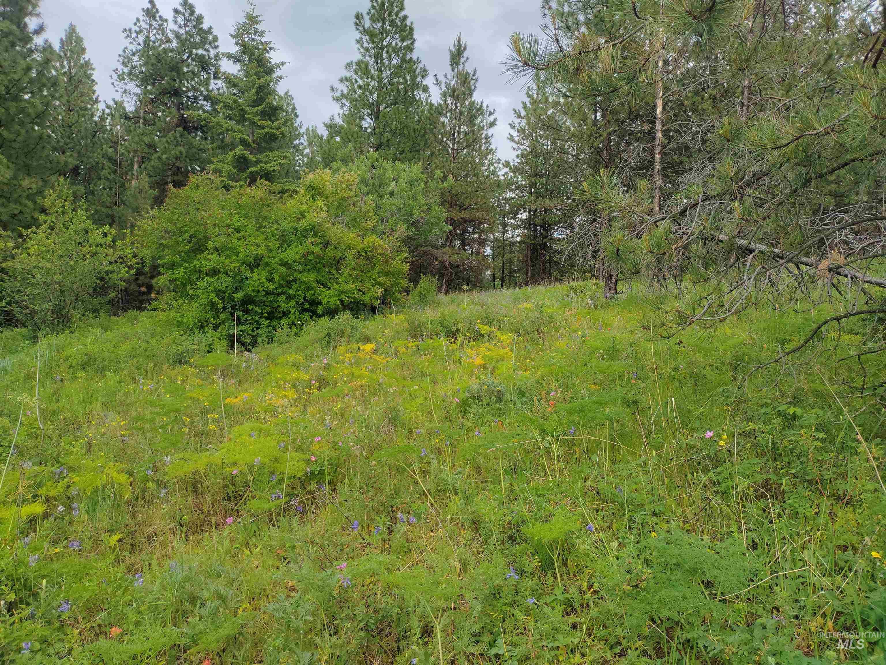 Nna 8 Ac Jackpine Property Photo 44