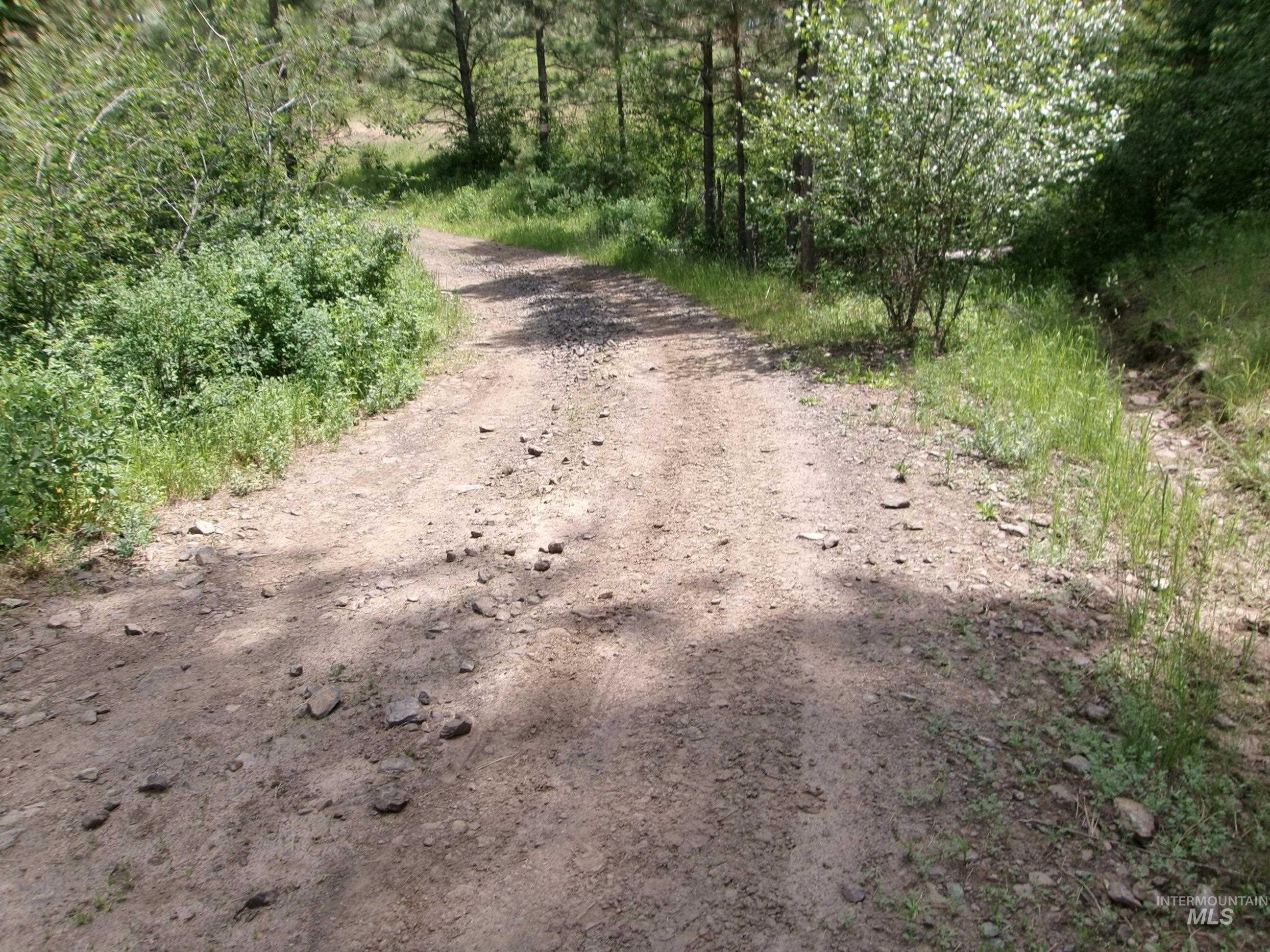 Nna 8 Ac Jackpine Property Photo 45