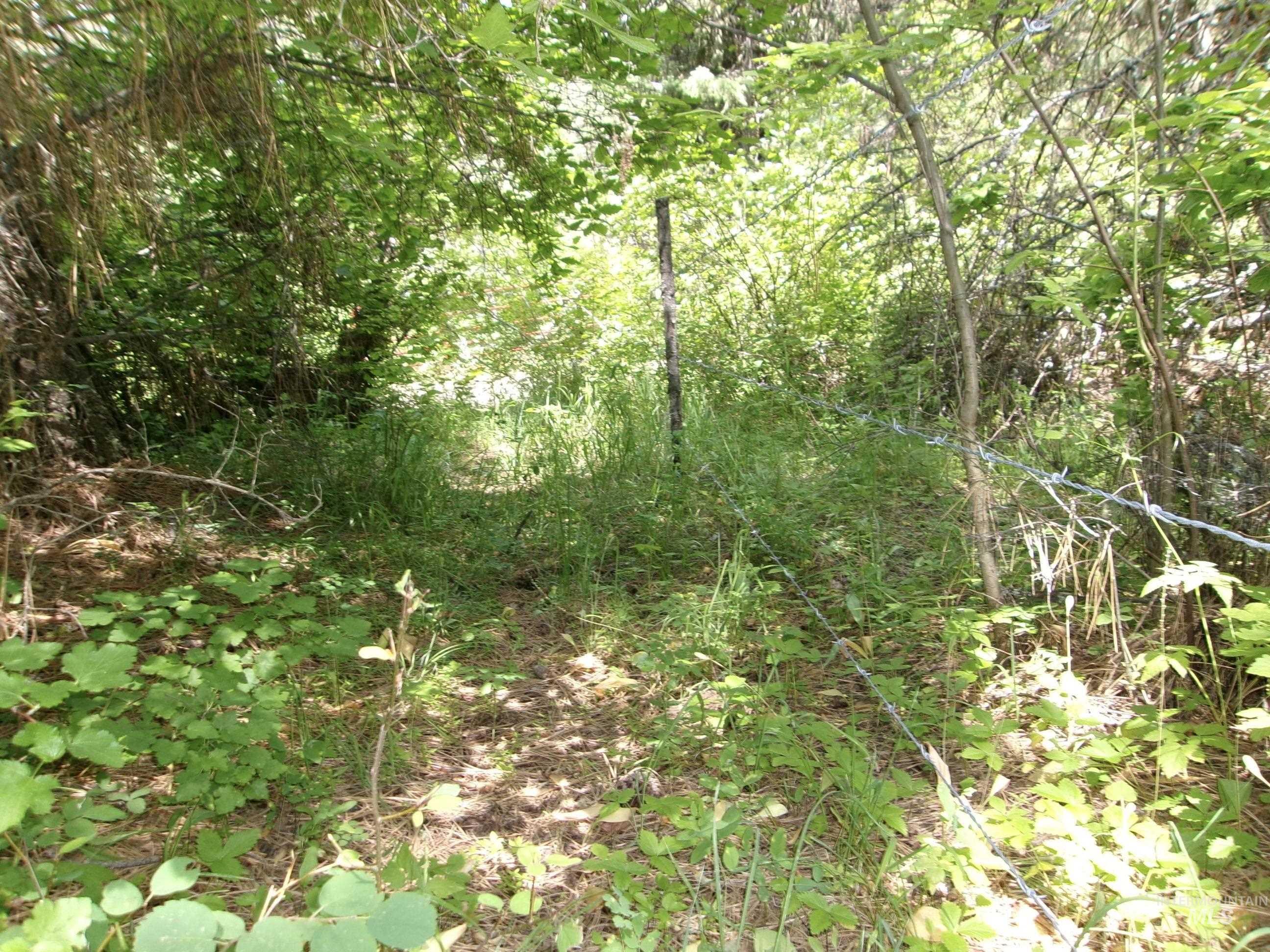 Nna 8 Ac Jackpine Property Photo 47