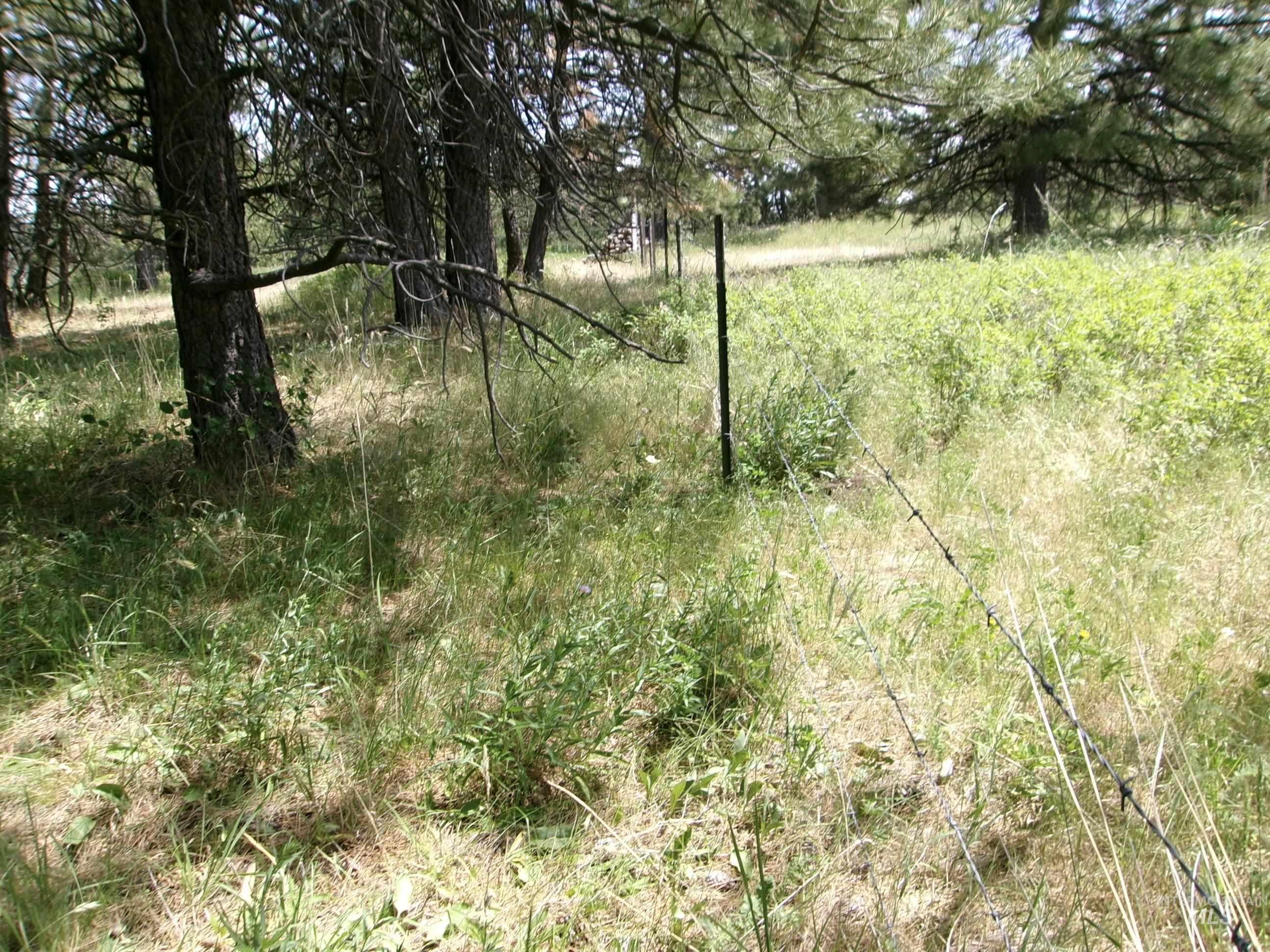 Nna 8 Ac Jackpine Property Photo 50