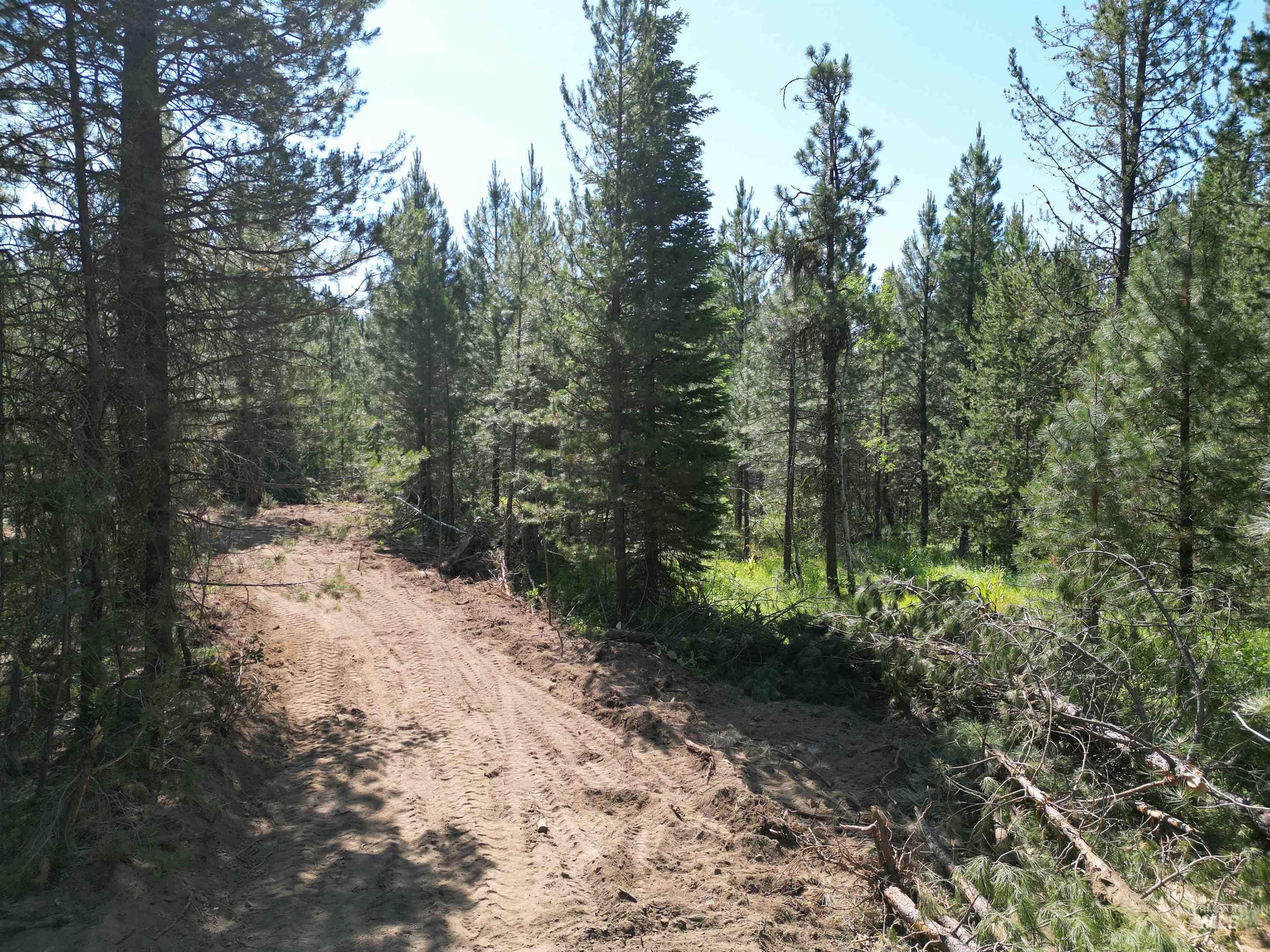 Lot 10 Timber Haven Place Property Photo 3