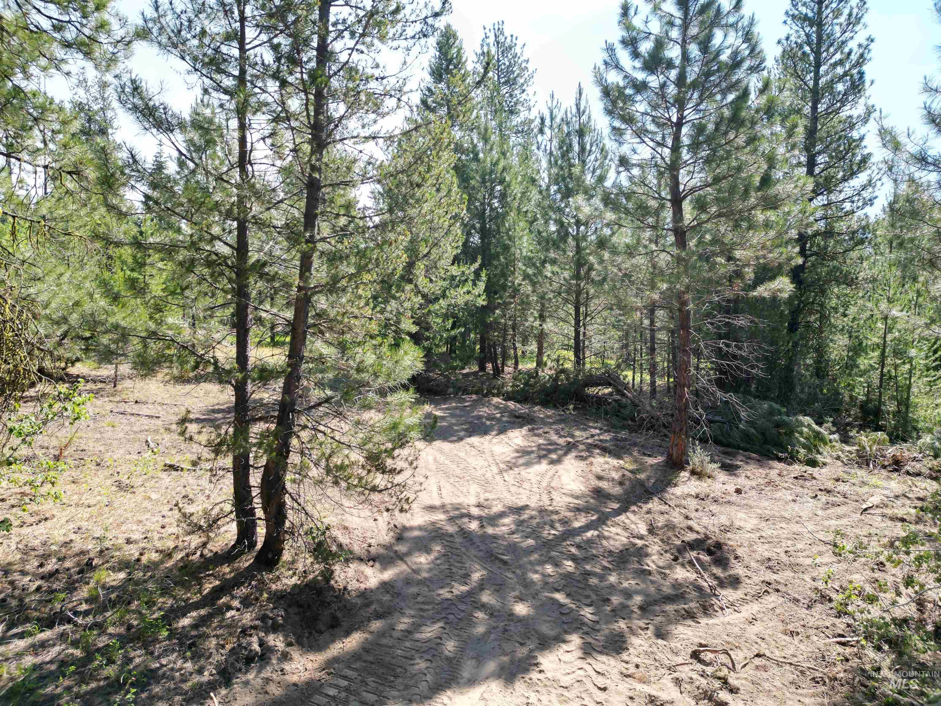 Lot 10 Timber Haven Place Property Photo 5