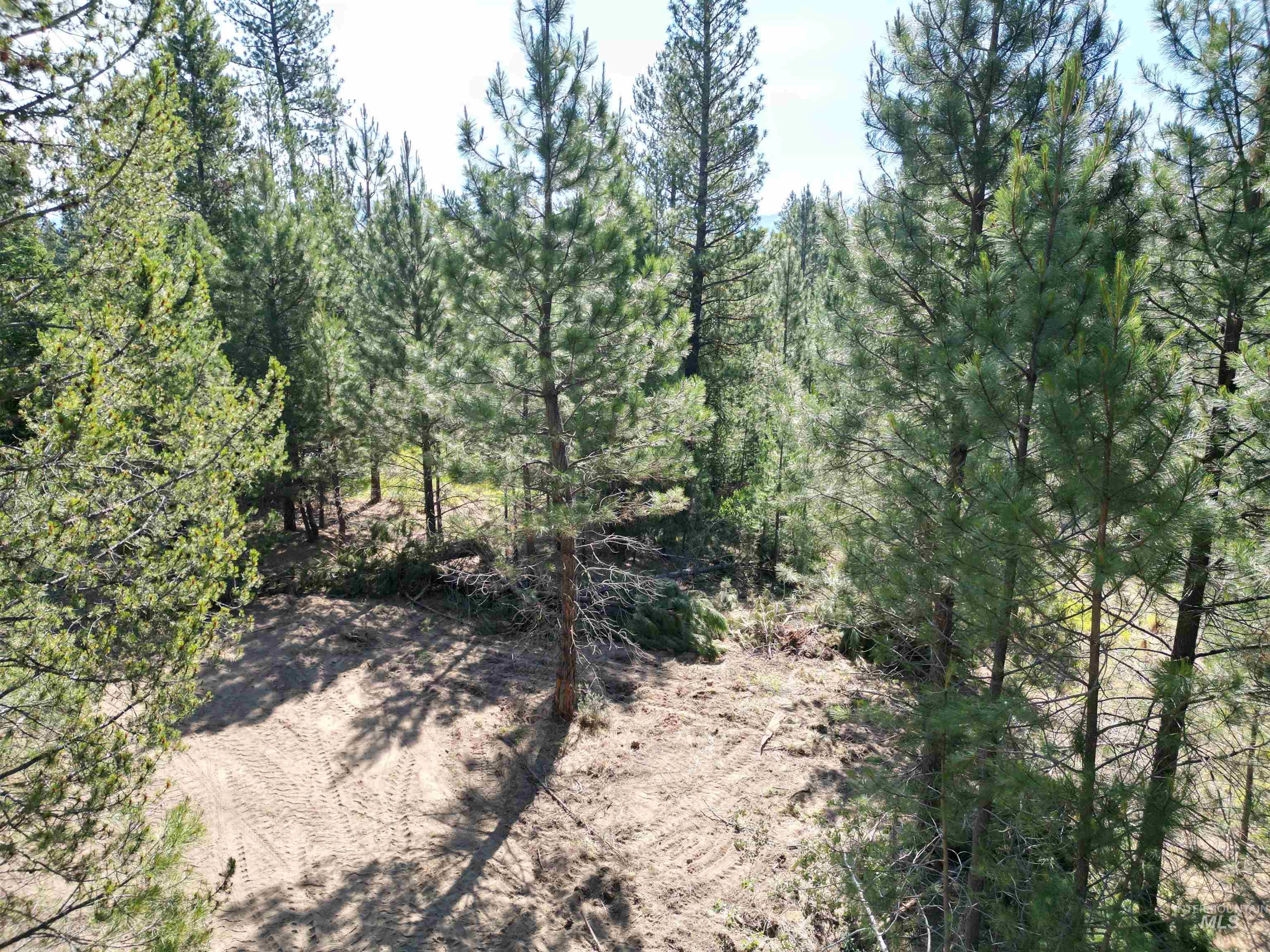 Lot 10 Timber Haven Place Property Photo 7