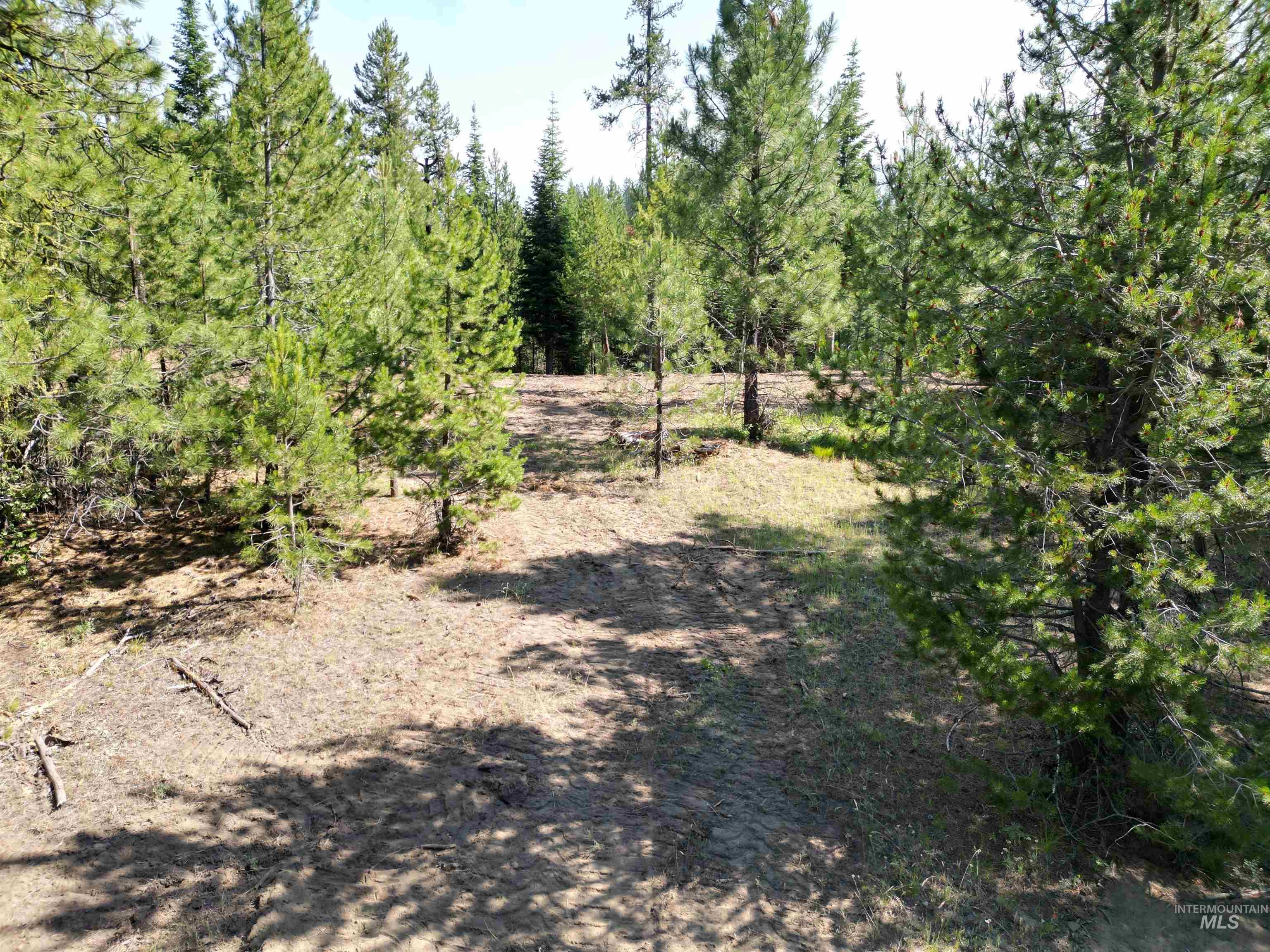 Lot 10 Timber Haven Place Property Photo 8