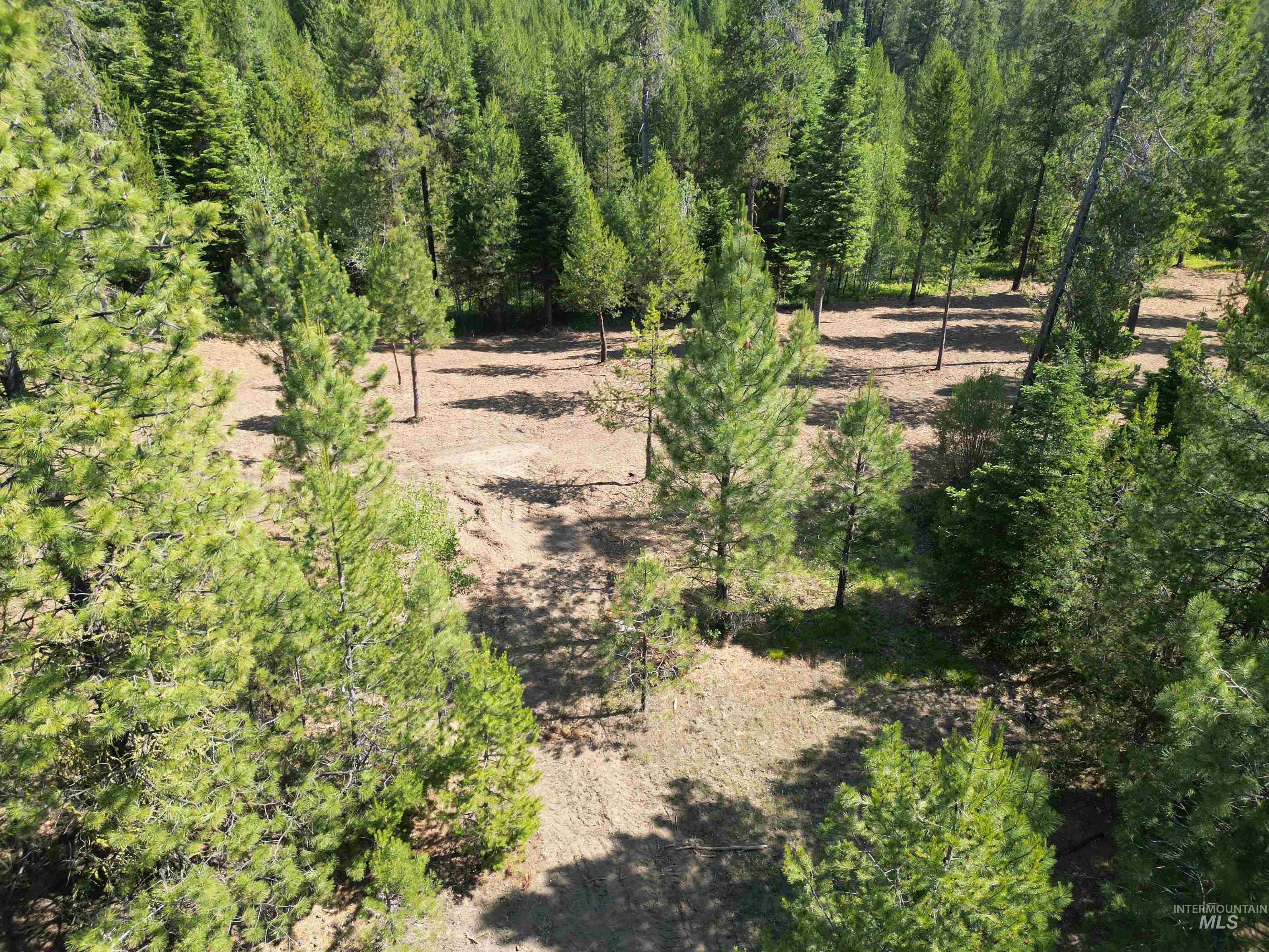 Lot 10 Timber Haven Place Property Photo 9