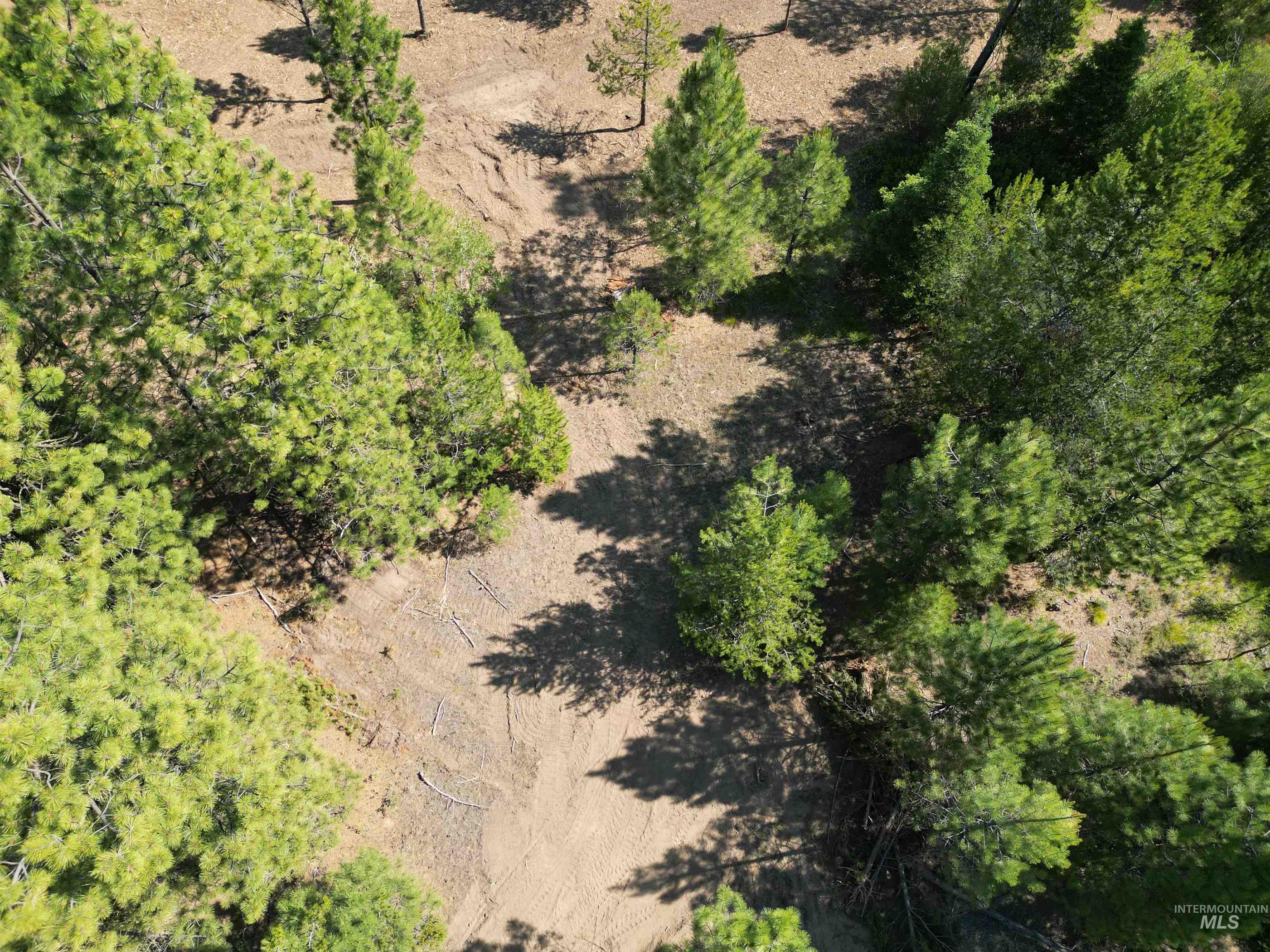 Lot 10 Timber Haven Place Property Photo 10