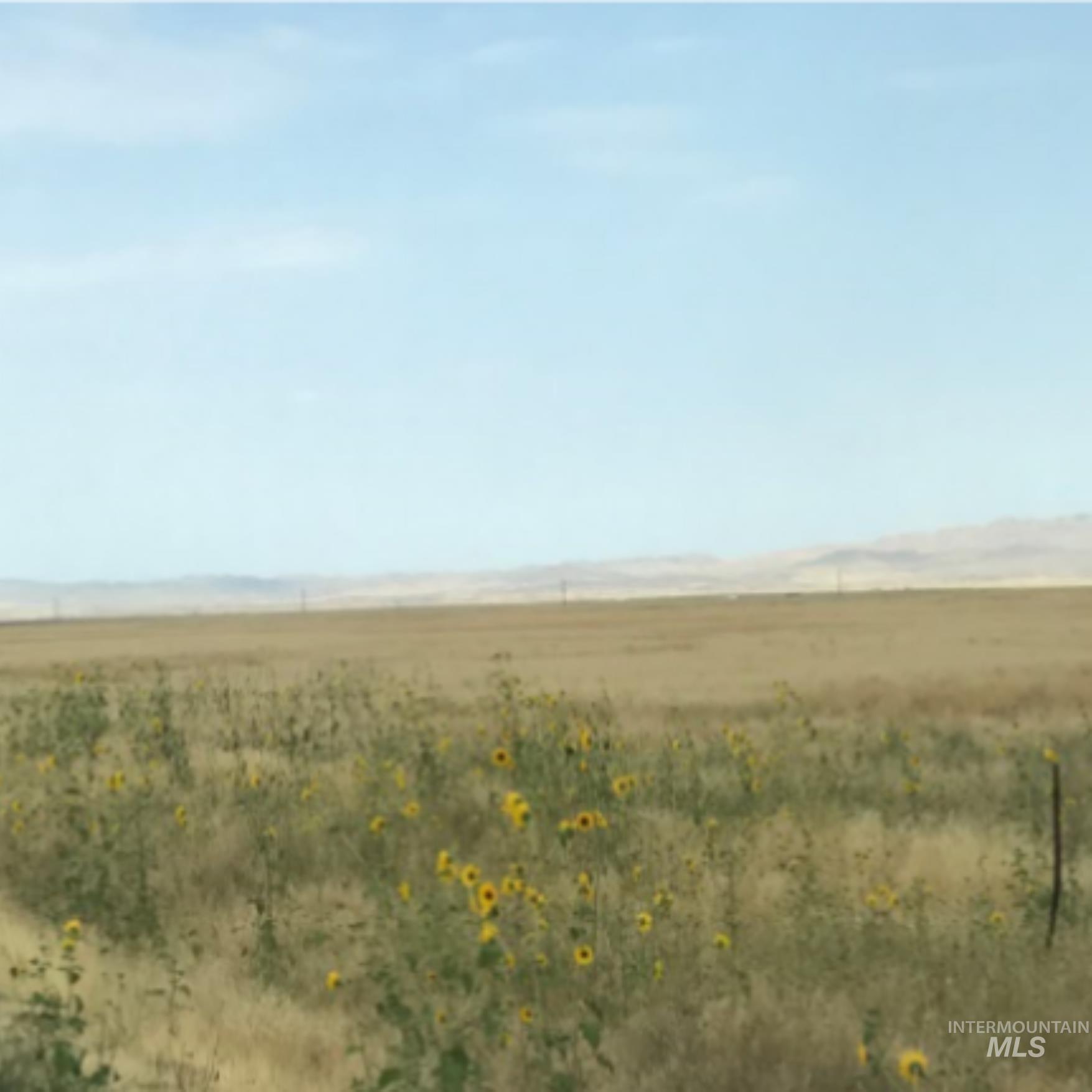 Tbd Simco Road (320 Acres) Property Photo 1