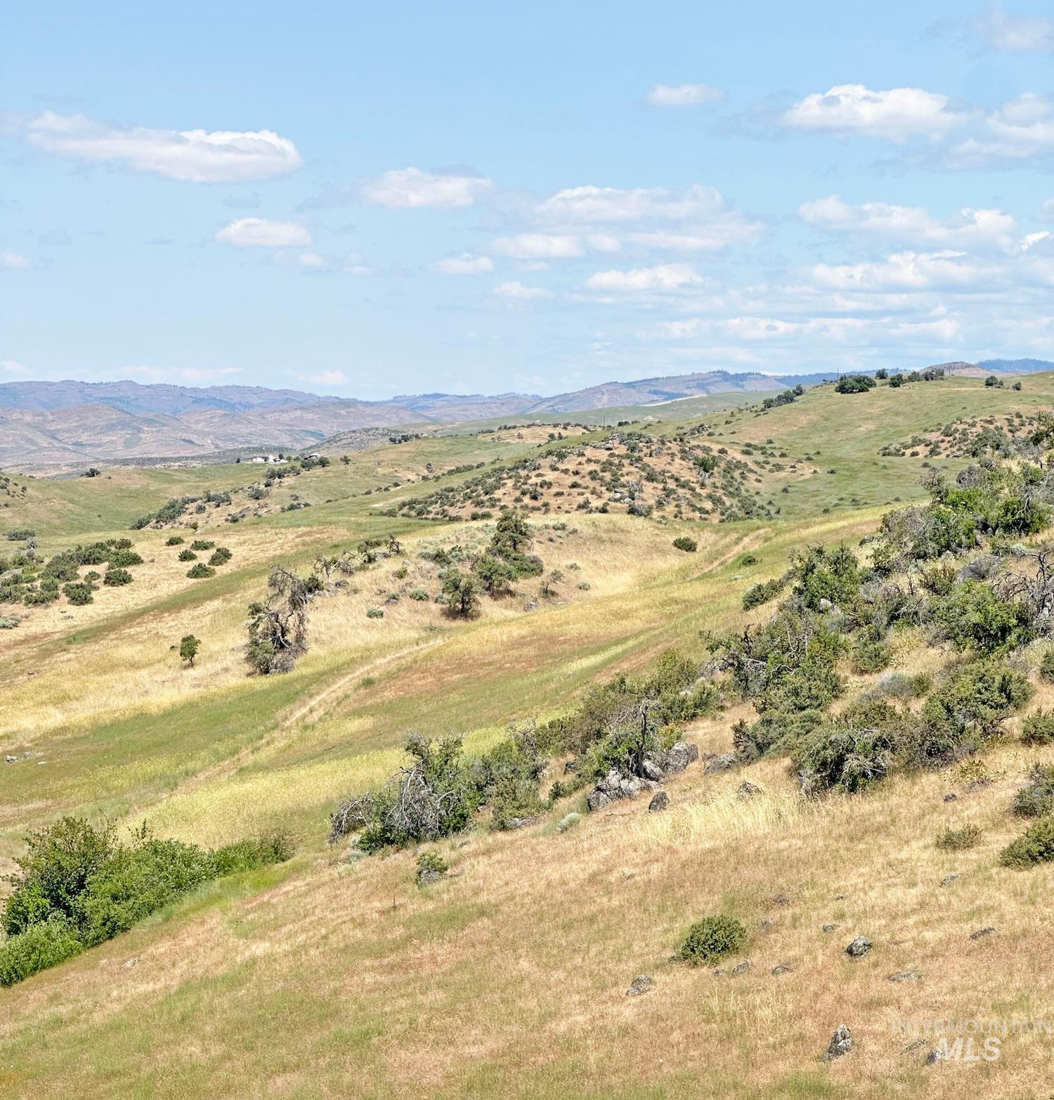 Tbd Holbrook Lane Property Photo 7
