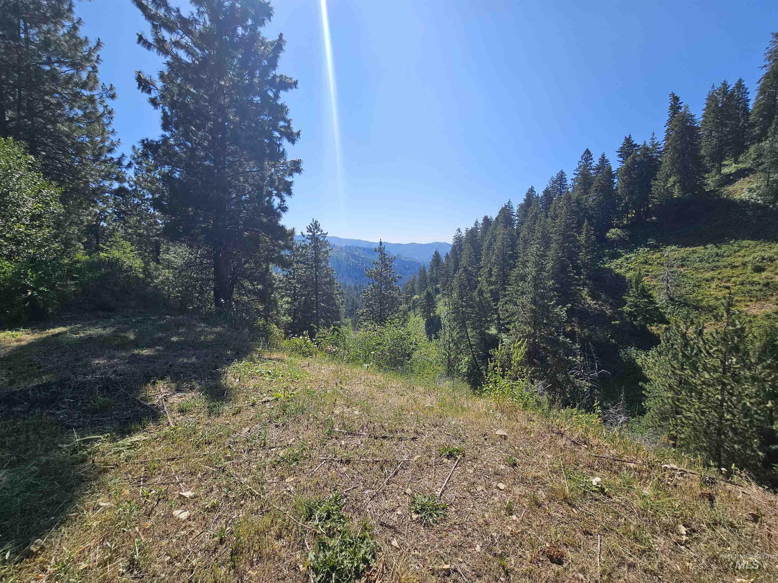 Tbd Lot 43 Tollgate Property Photo 26