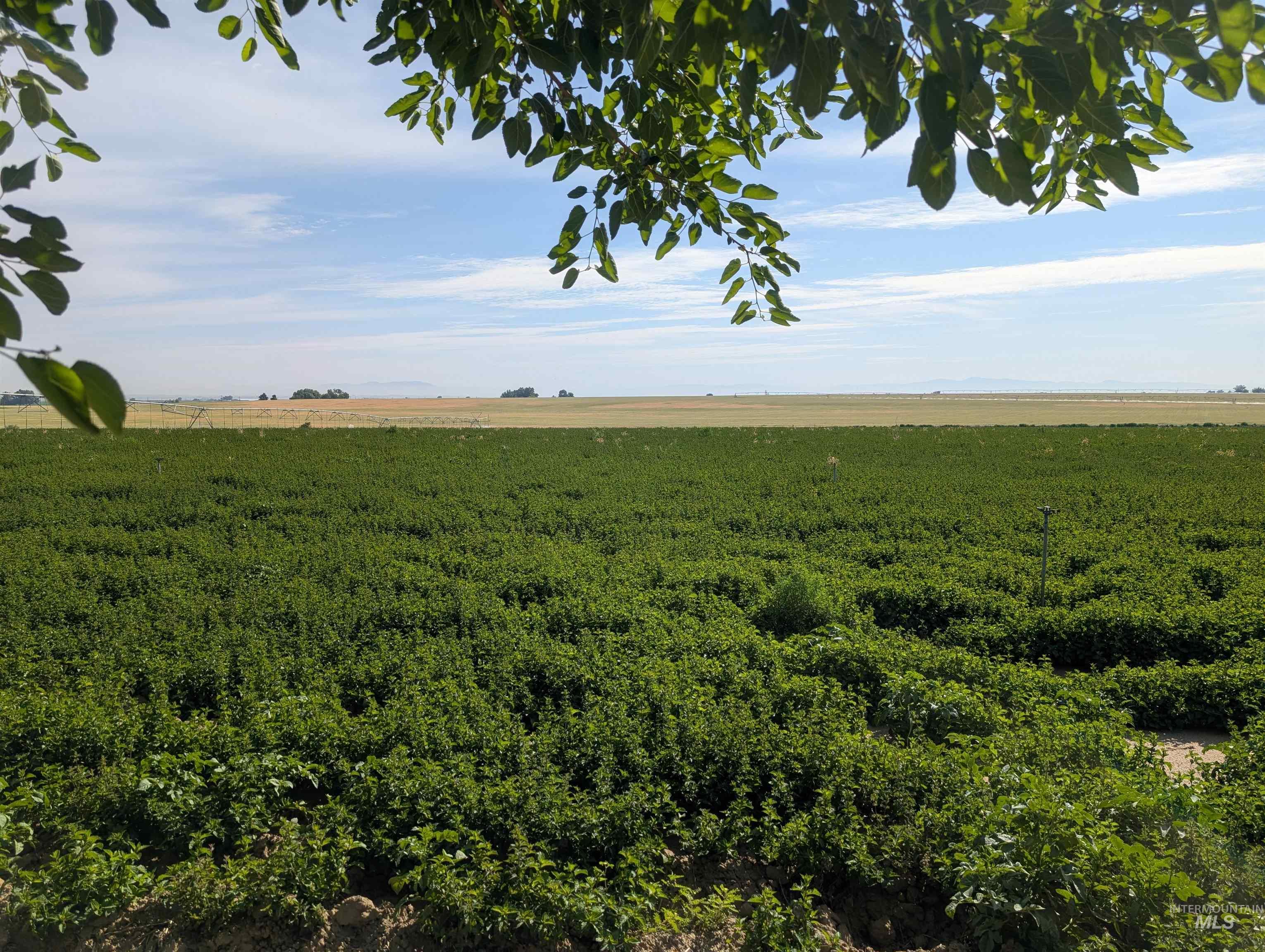 000 Lower Pleasant Ridge Road Property Photo 1