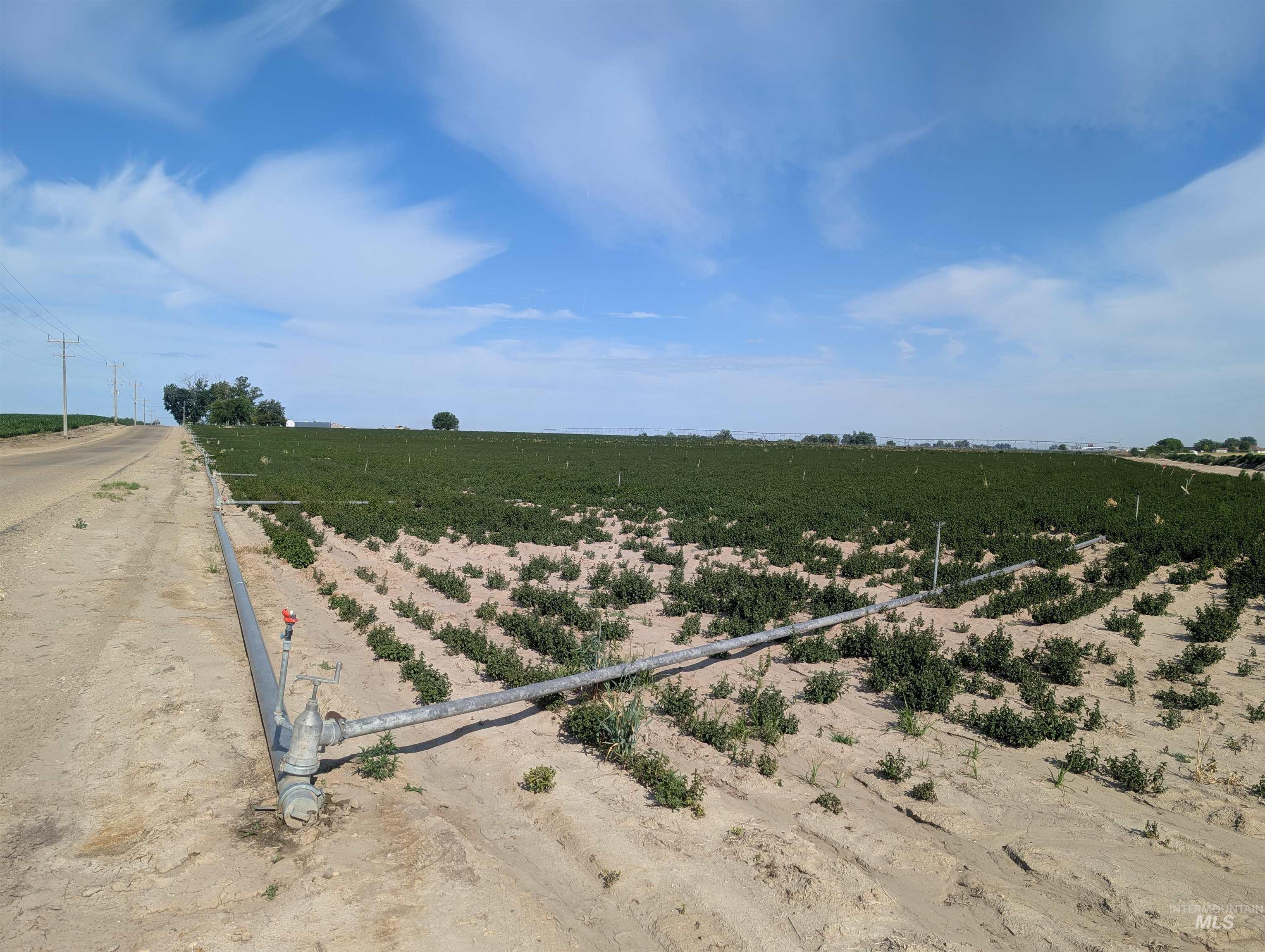 000 Lower Pleasant Ridge Road Property Photo 3