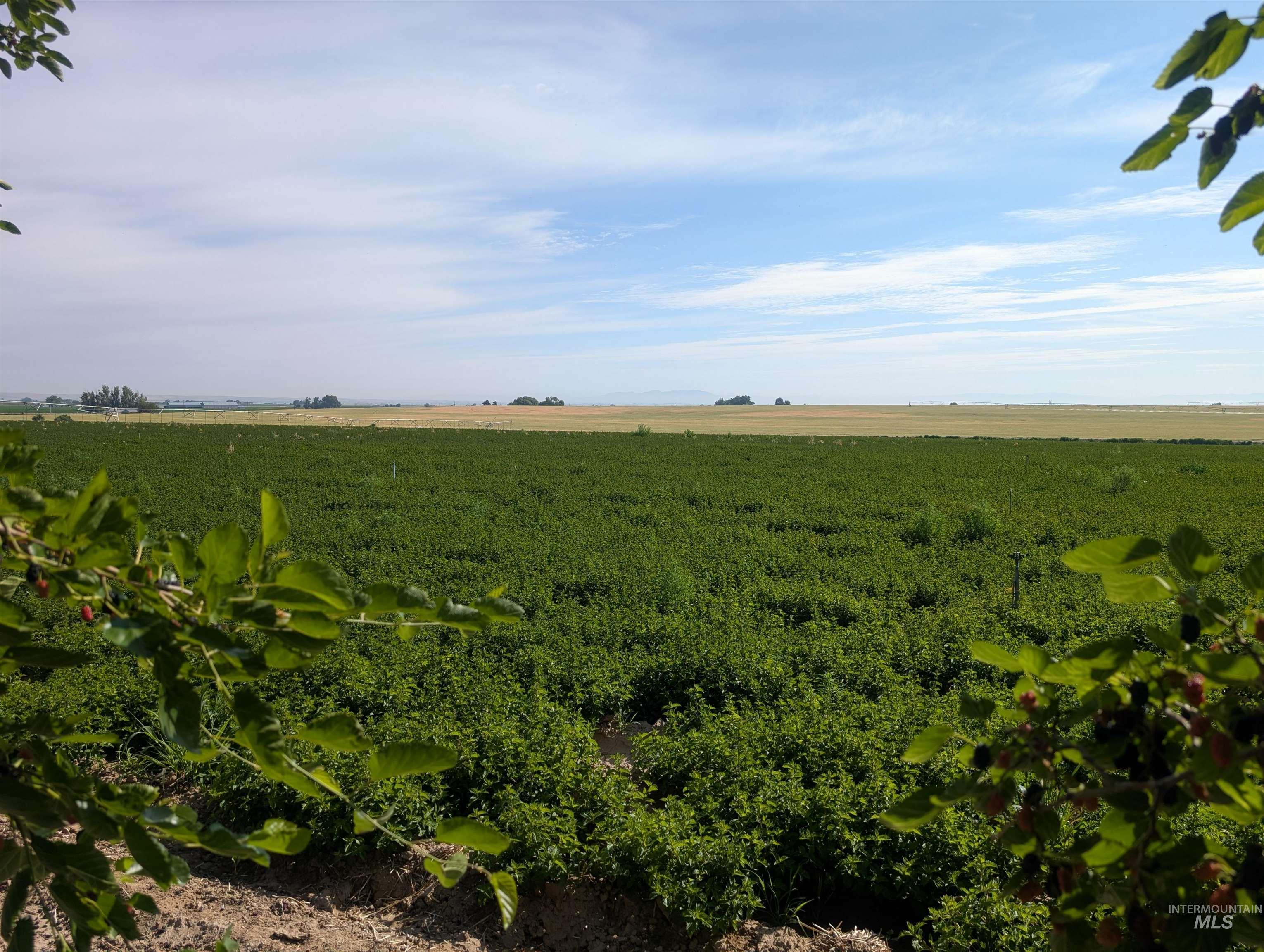 000 Lower Pleasant Ridge Road Property Photo 4