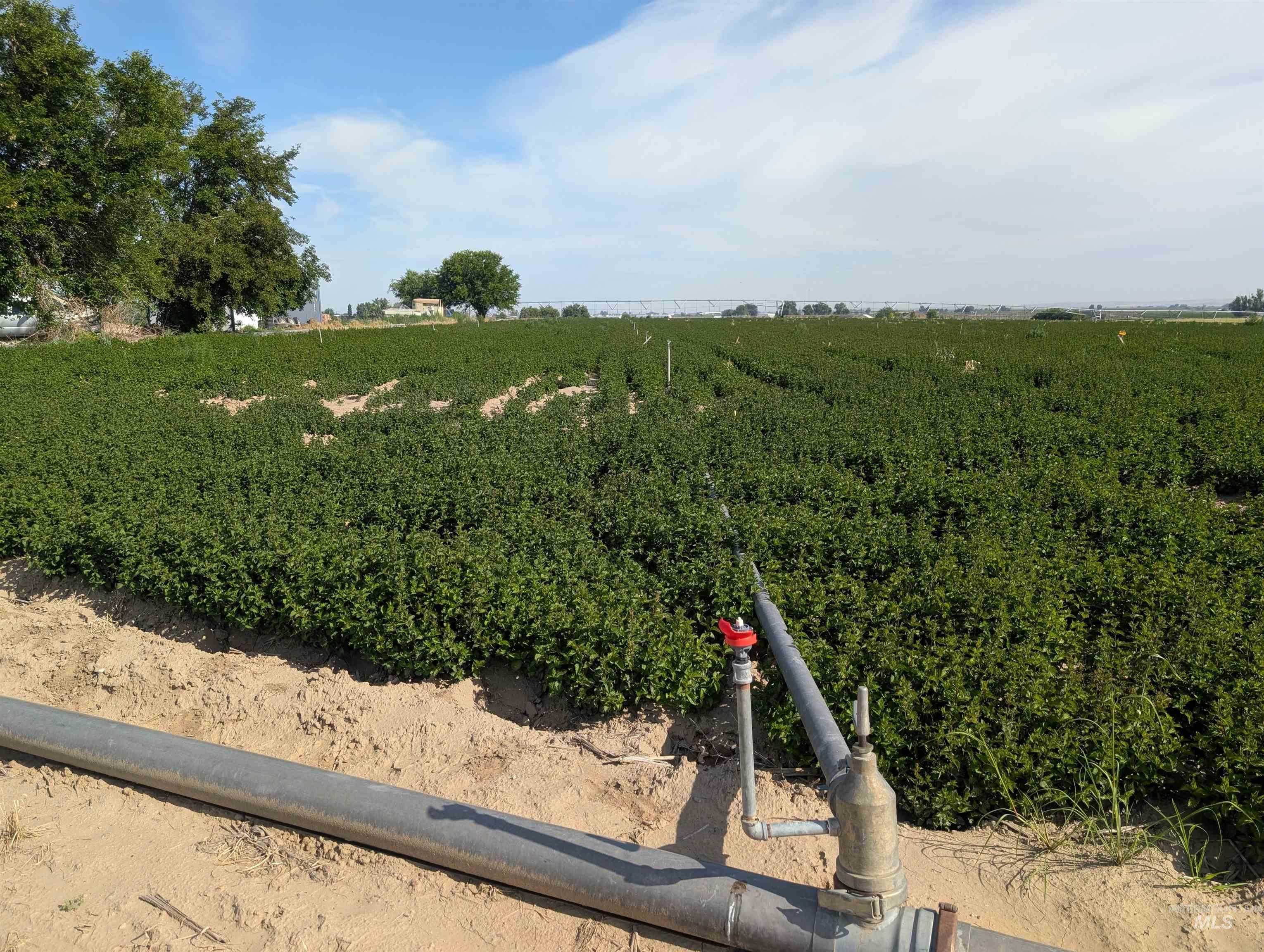 000 Lower Pleasant Ridge Road Property Photo 7