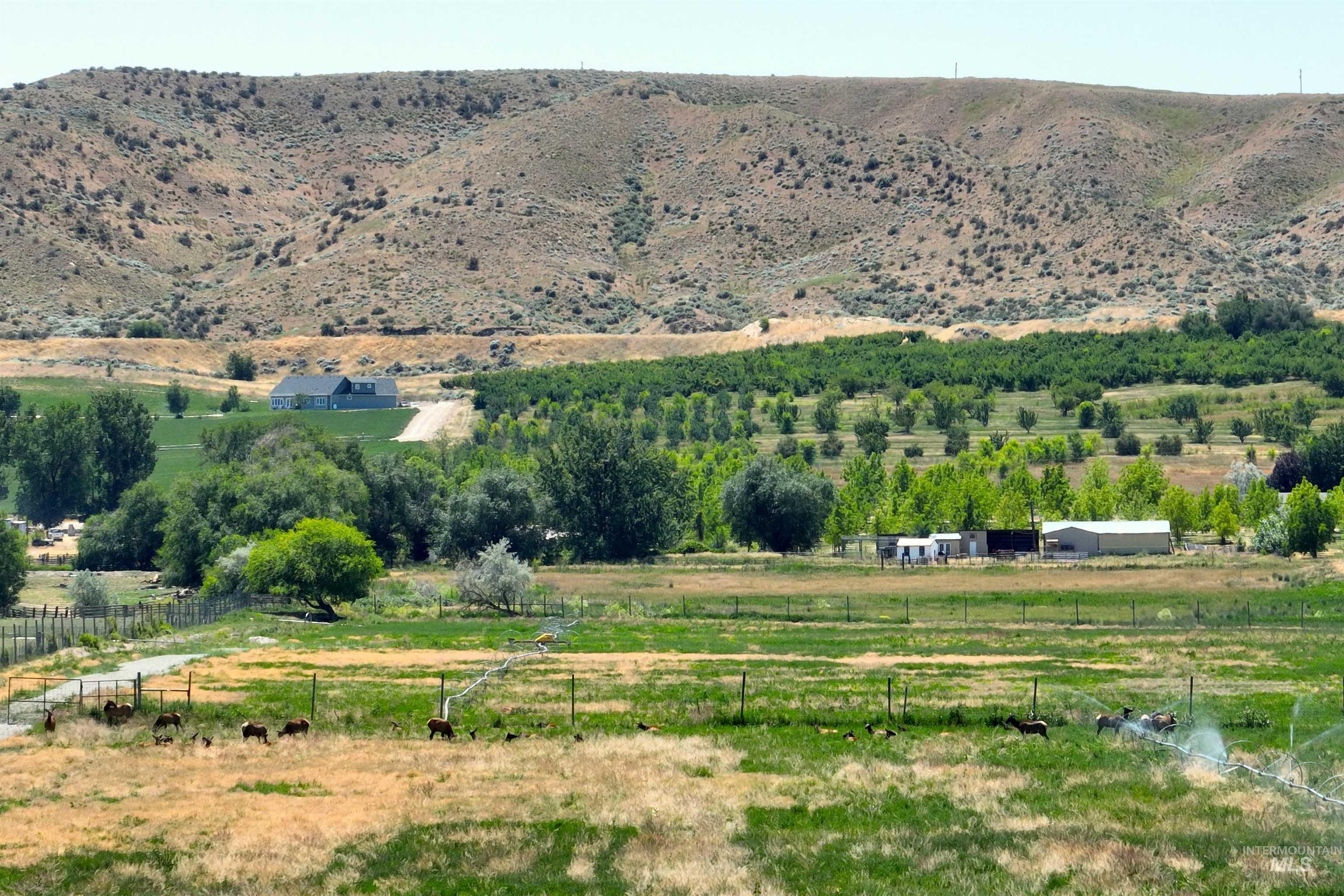 Tbd Wapiti Lane Lot 01 Block 02 Property Photo 6