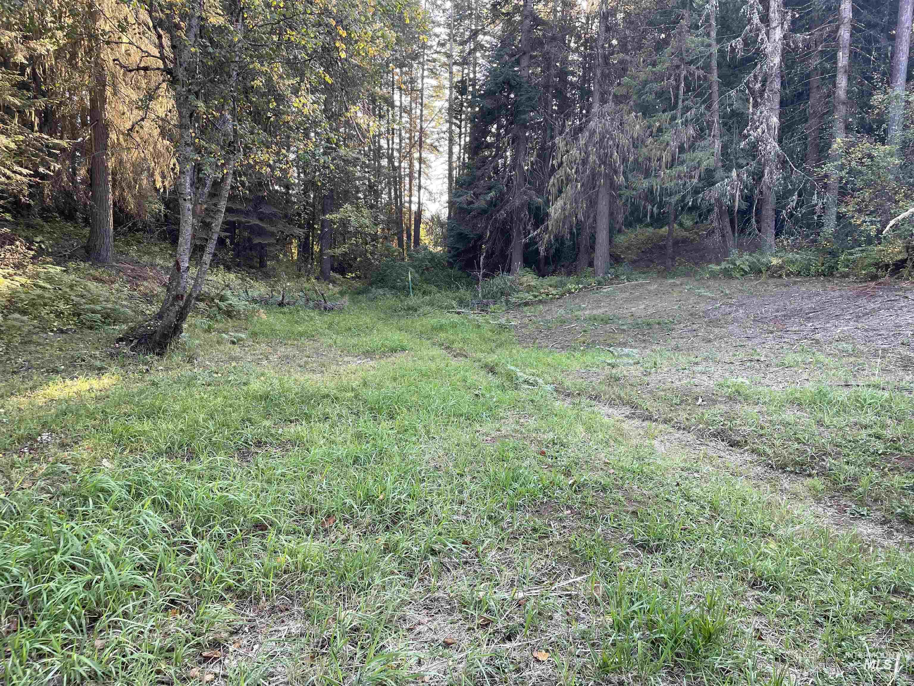 Tbd Schmidt Mill Rd Property Photo 1