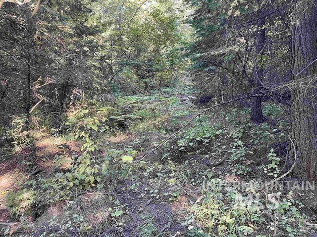 Tbd Schmidt Mill Rd Property Photo 3