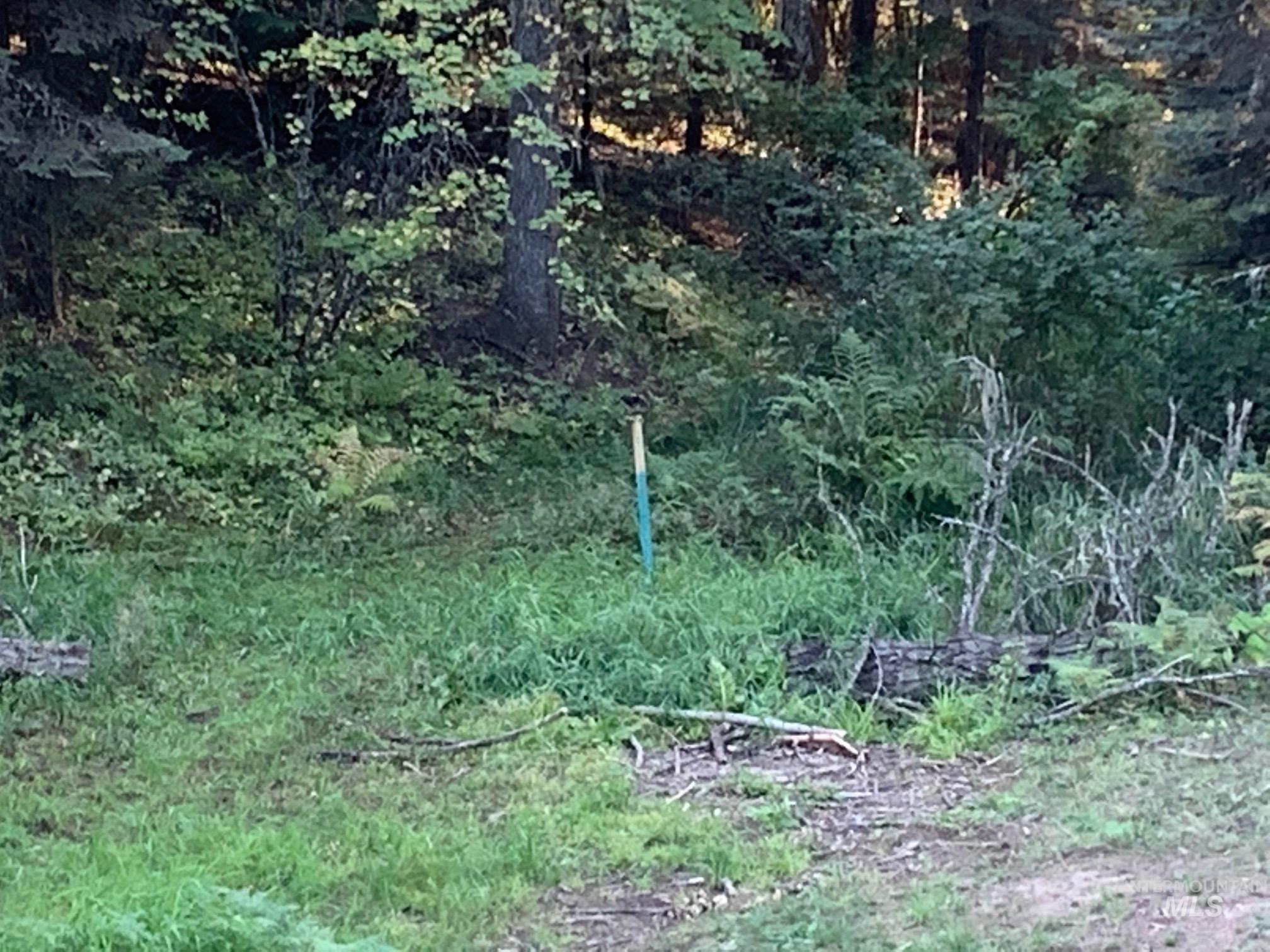 Tbd Schmidt Mill Rd Property Photo 7