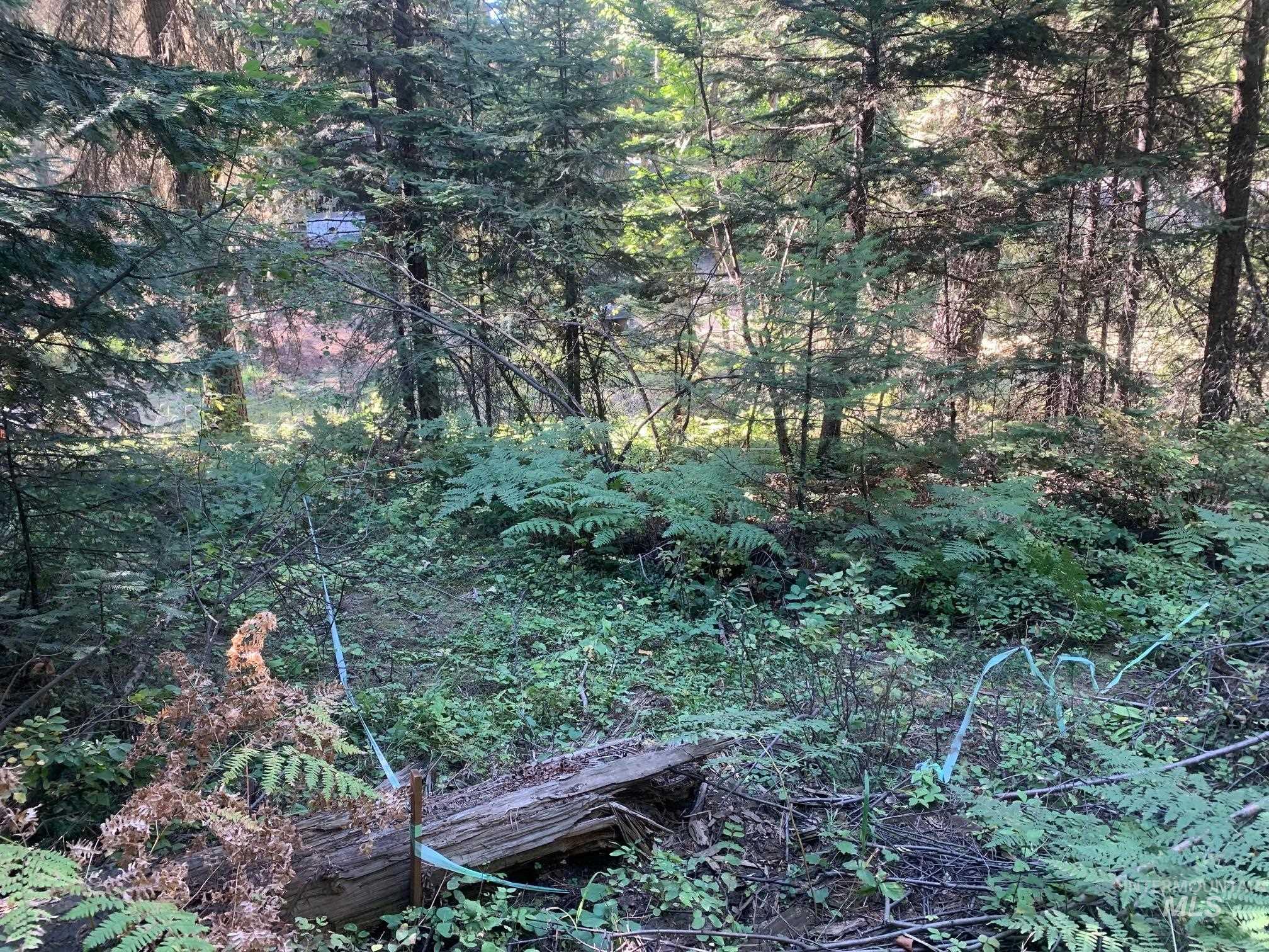 Tbd Schmidt Mill Rd Property Photo 15