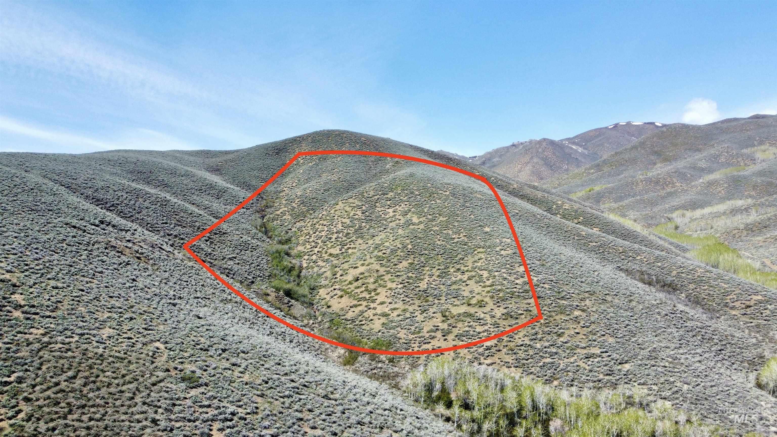 Tbd Lees Gulch Rd Property Photo 1