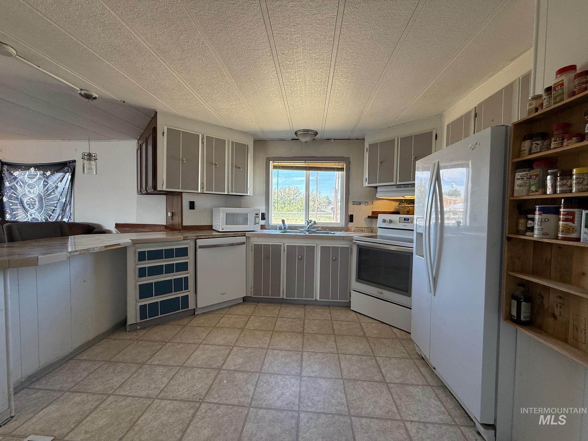 355 Swan Falls Property Photo 11