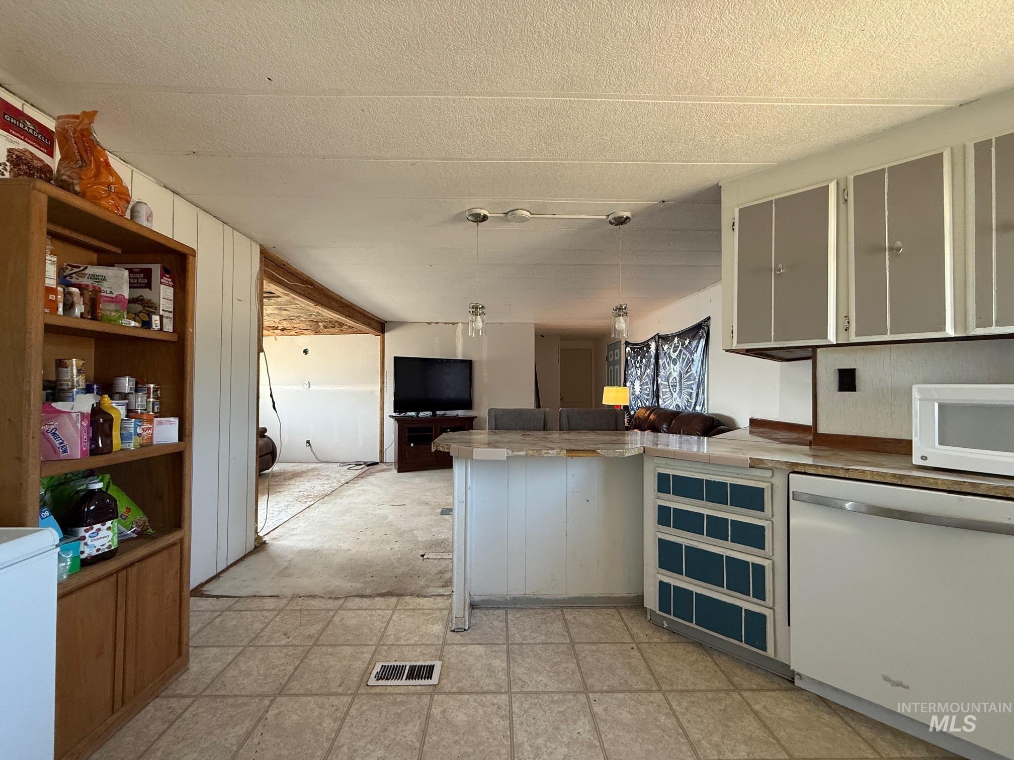 355 Swan Falls Property Photo 13