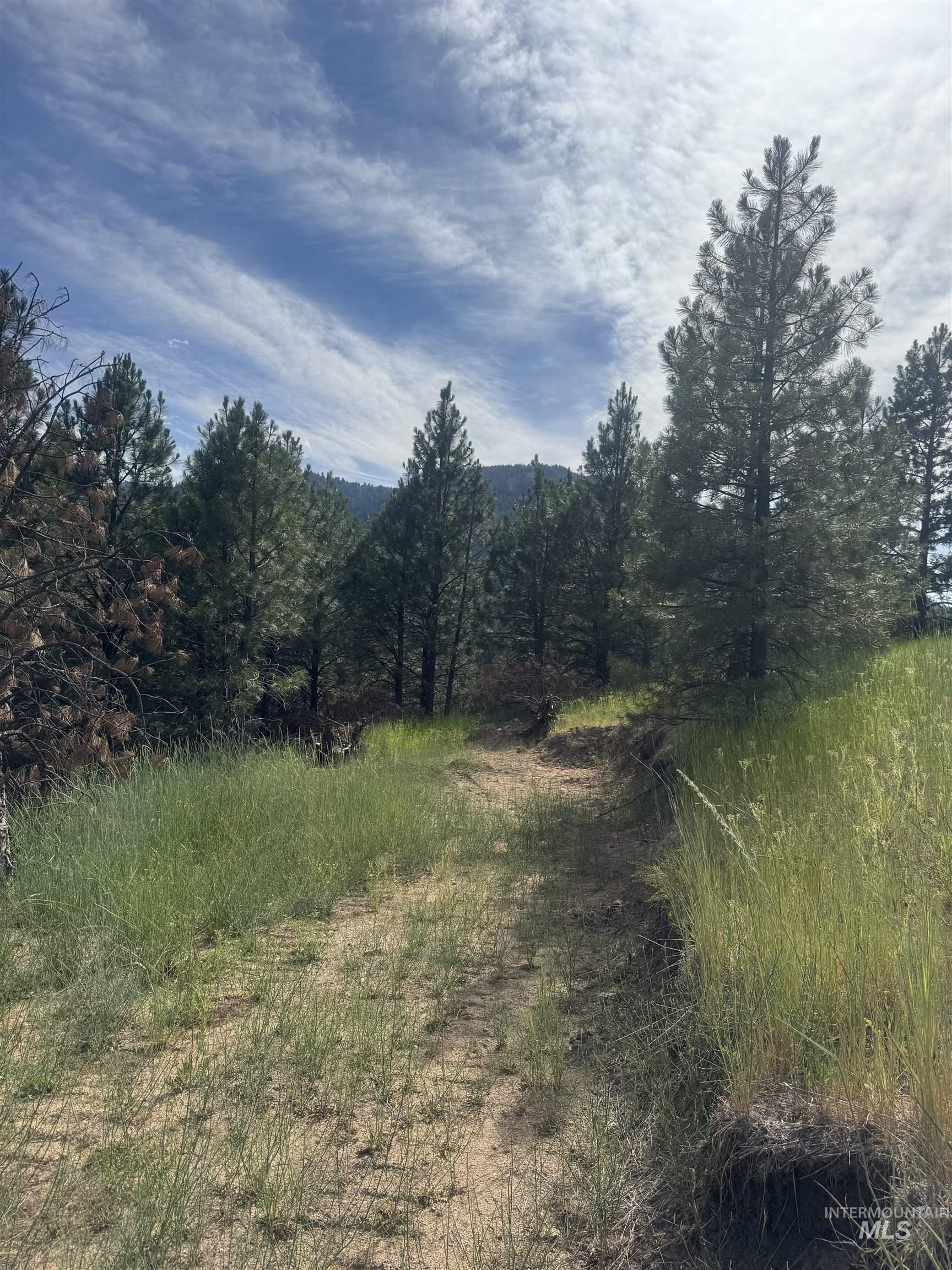 Lot 5 Overlook Property Photo 21