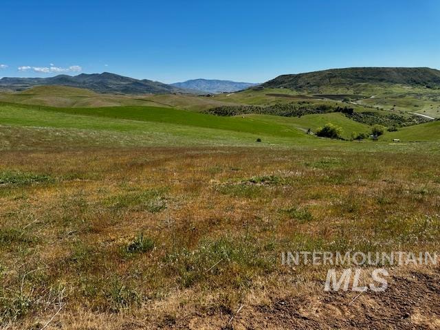 12000 Liberty Rd Property Photo 8