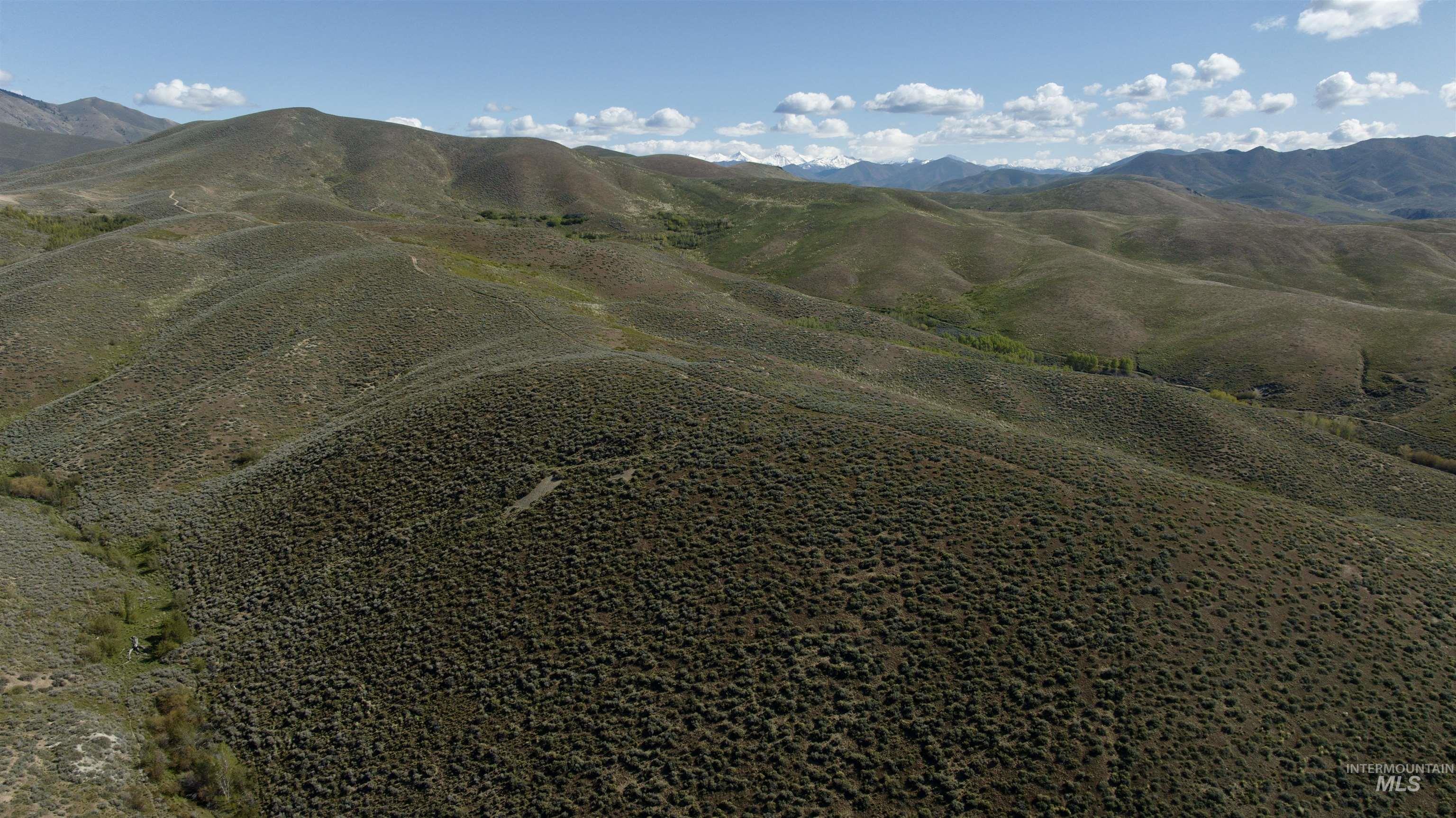 Tbd Camp Creek Rd Property Photo 5