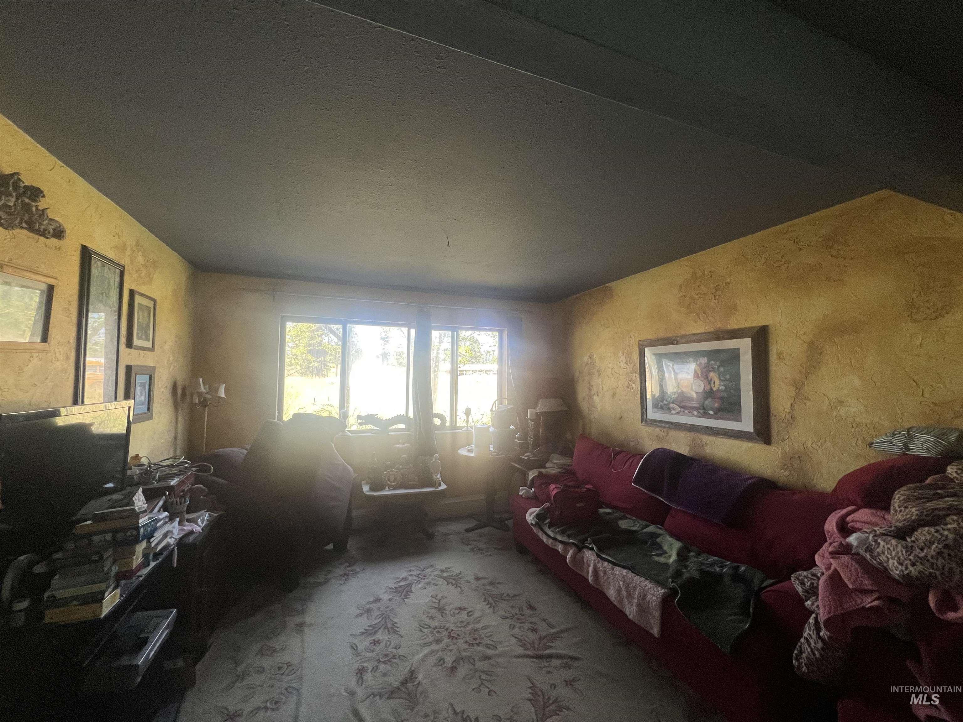 366 Too Kush Property Photo 6
