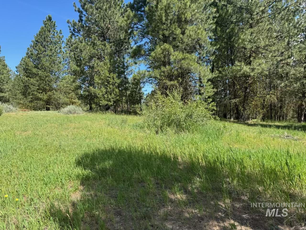 643 S Main Street Property Photo 5