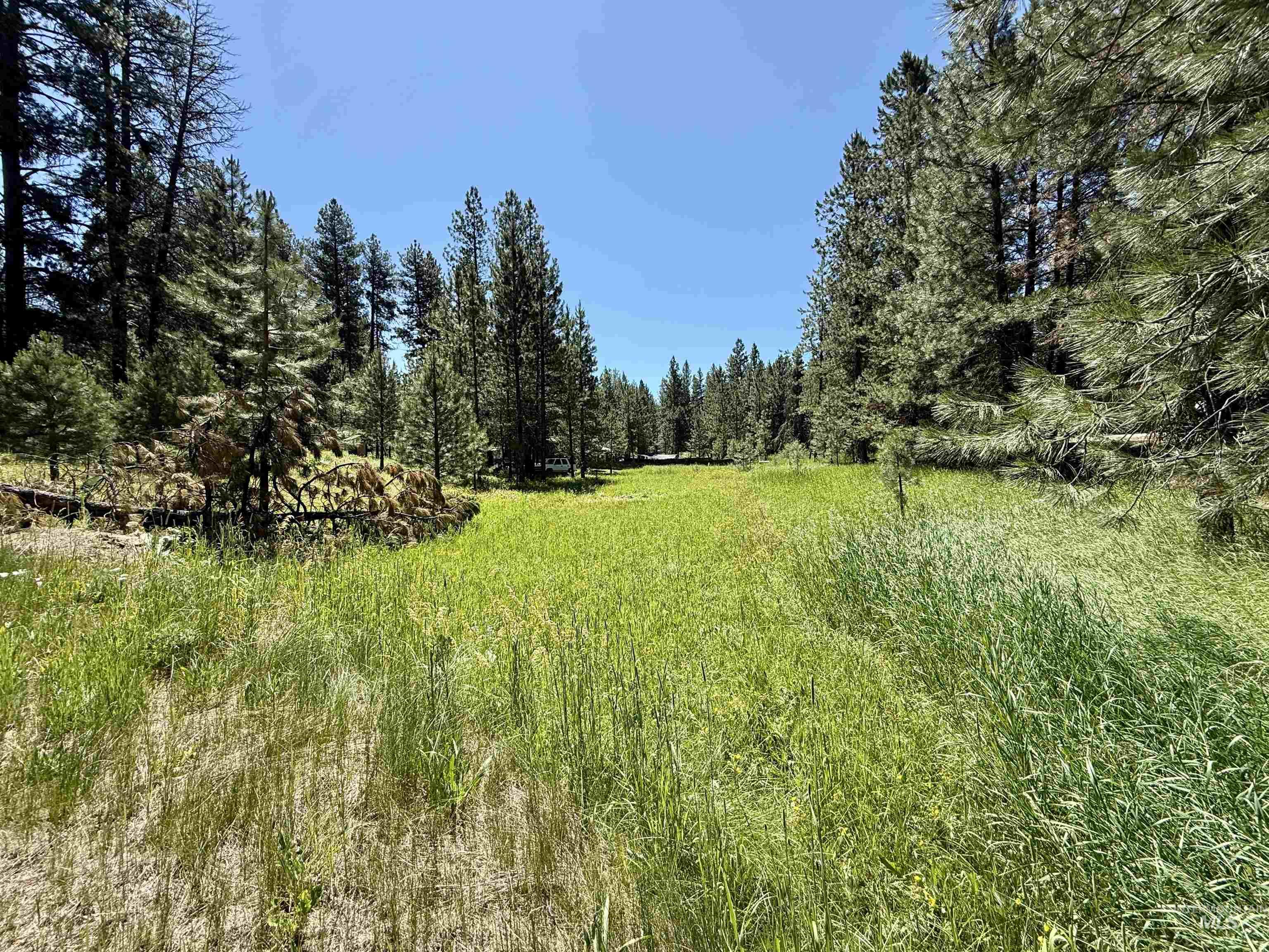 93 E Prospectors