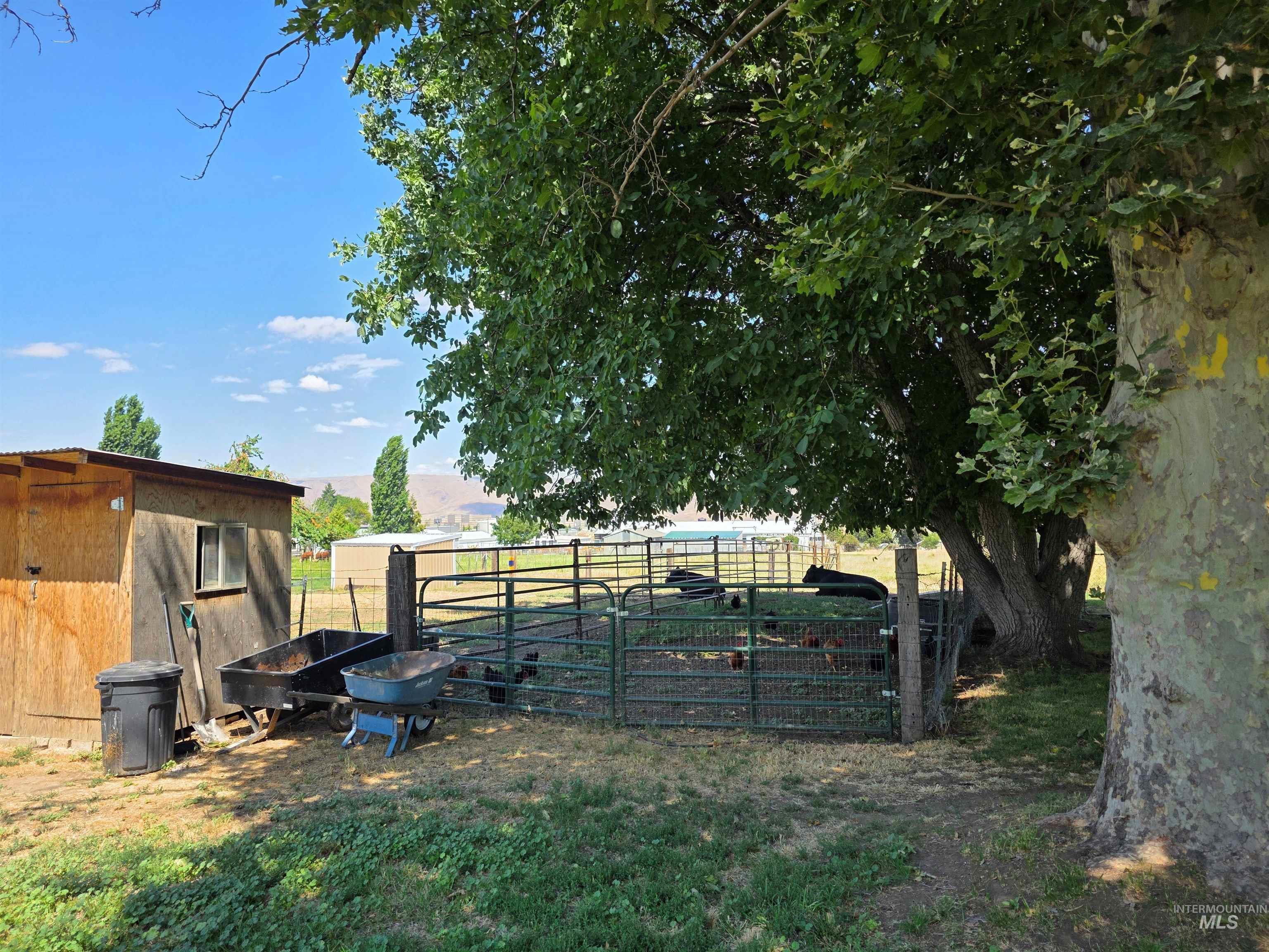 1225 Bryden Avenue Property Photo 12