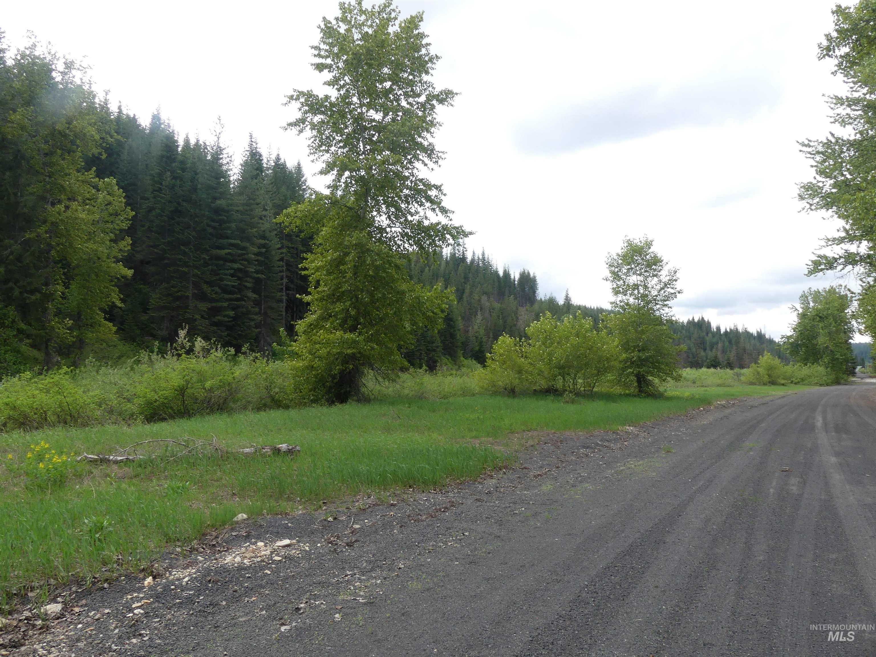 256 Beaver Lane Property Photo 1