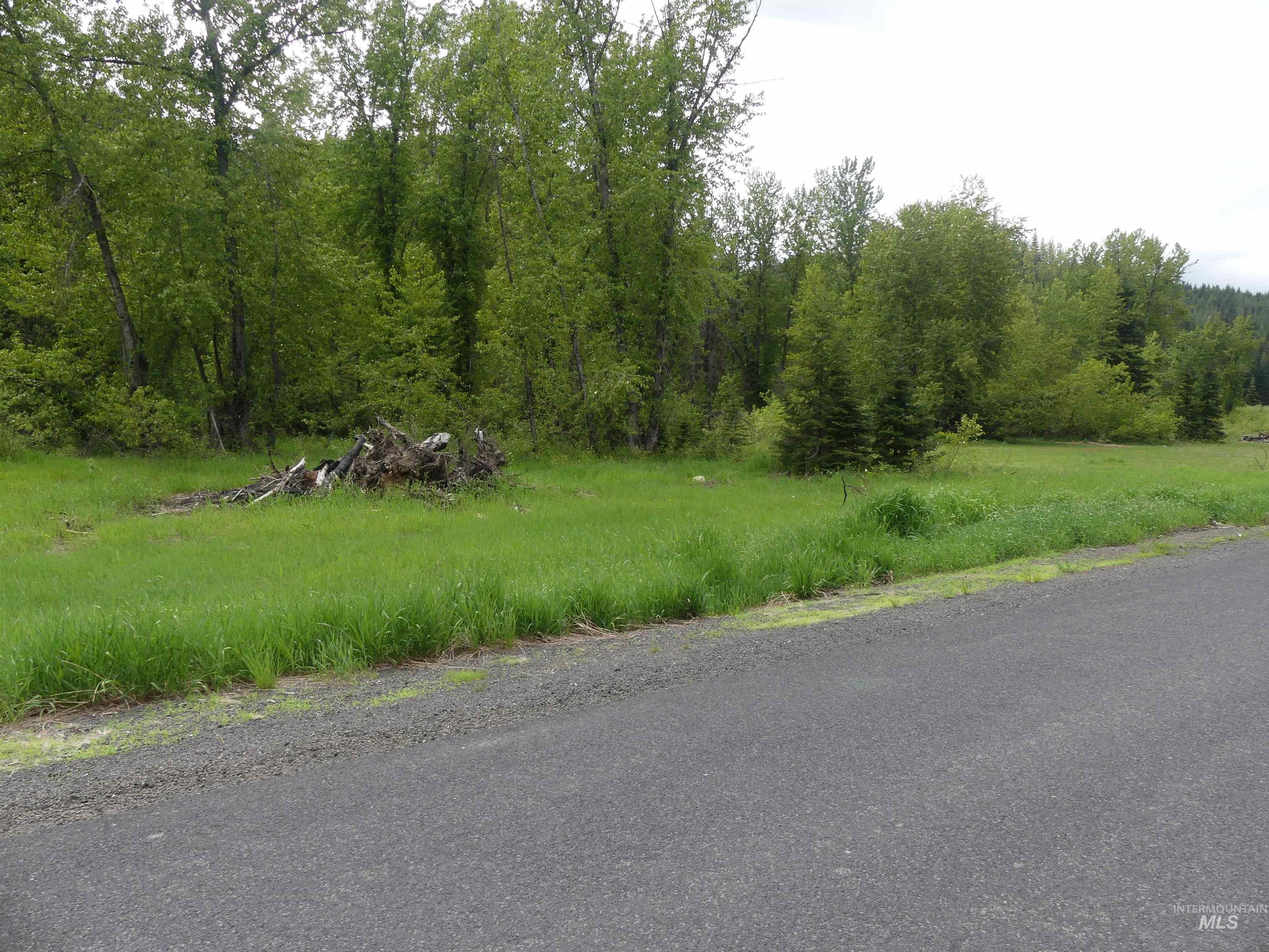 256 Beaver Lane Property Photo 4