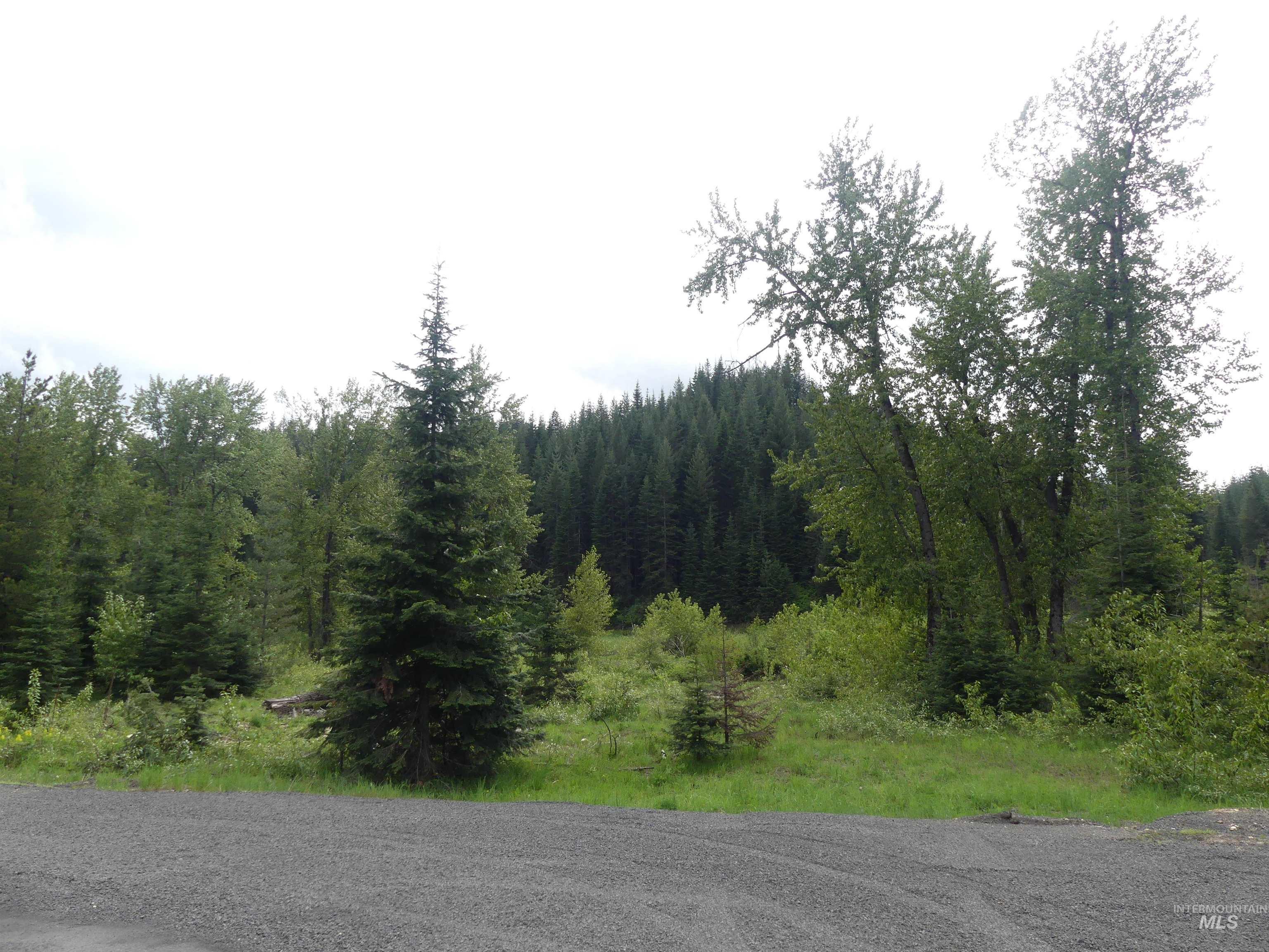256 Beaver Lane Property Photo 7