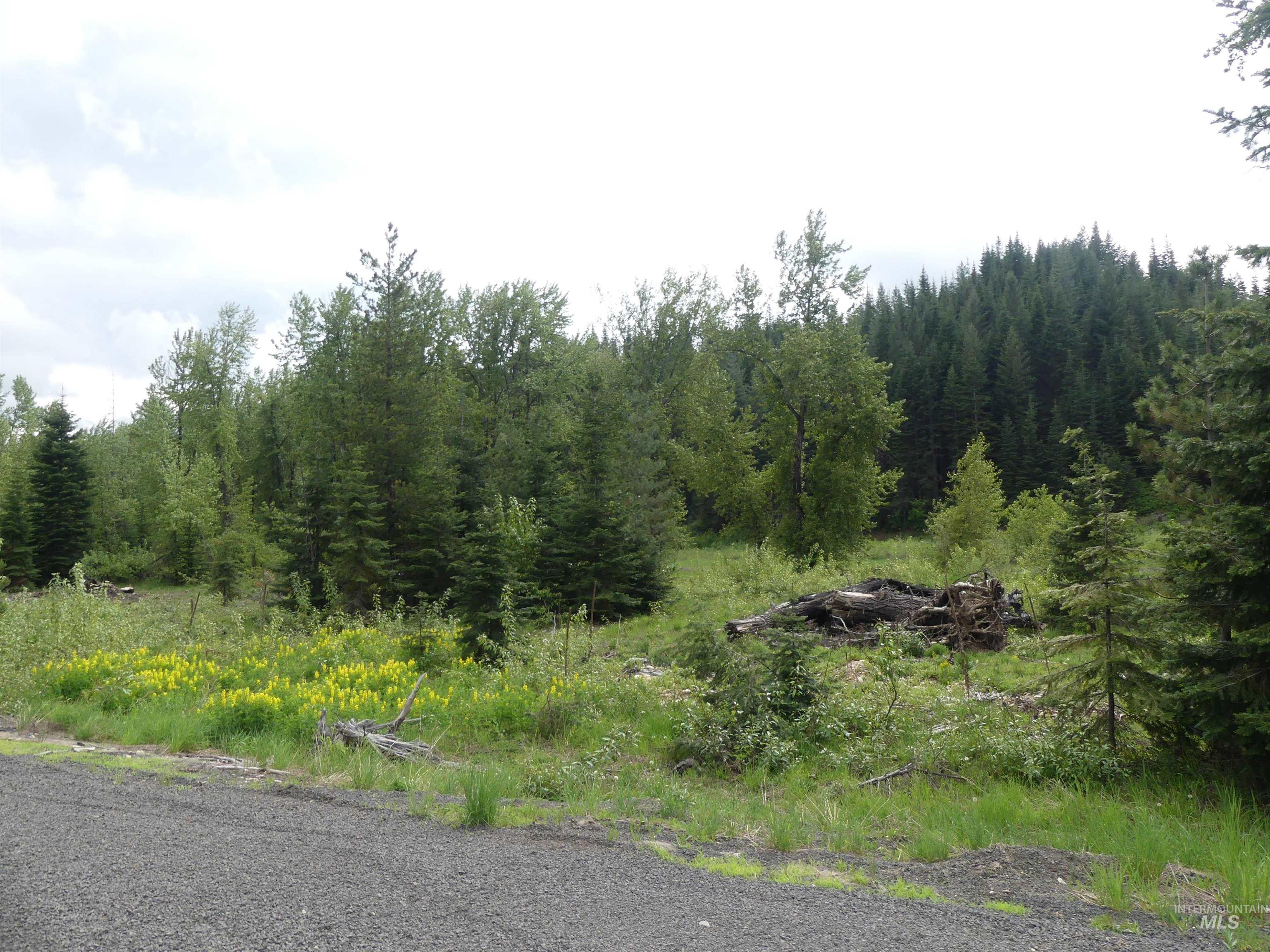 256 Beaver Lane Property Photo 10