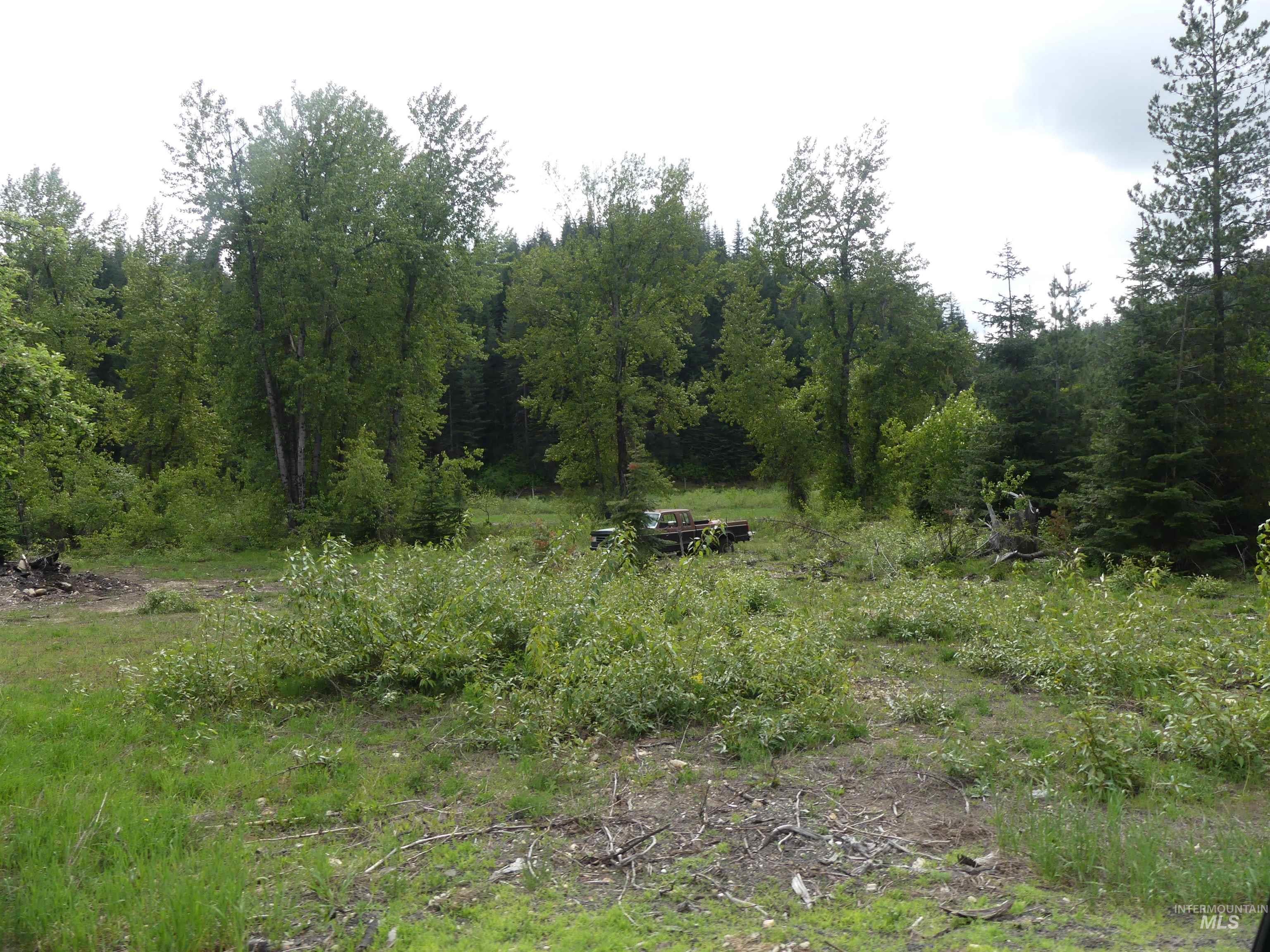 256 Beaver Lane Property Photo 11