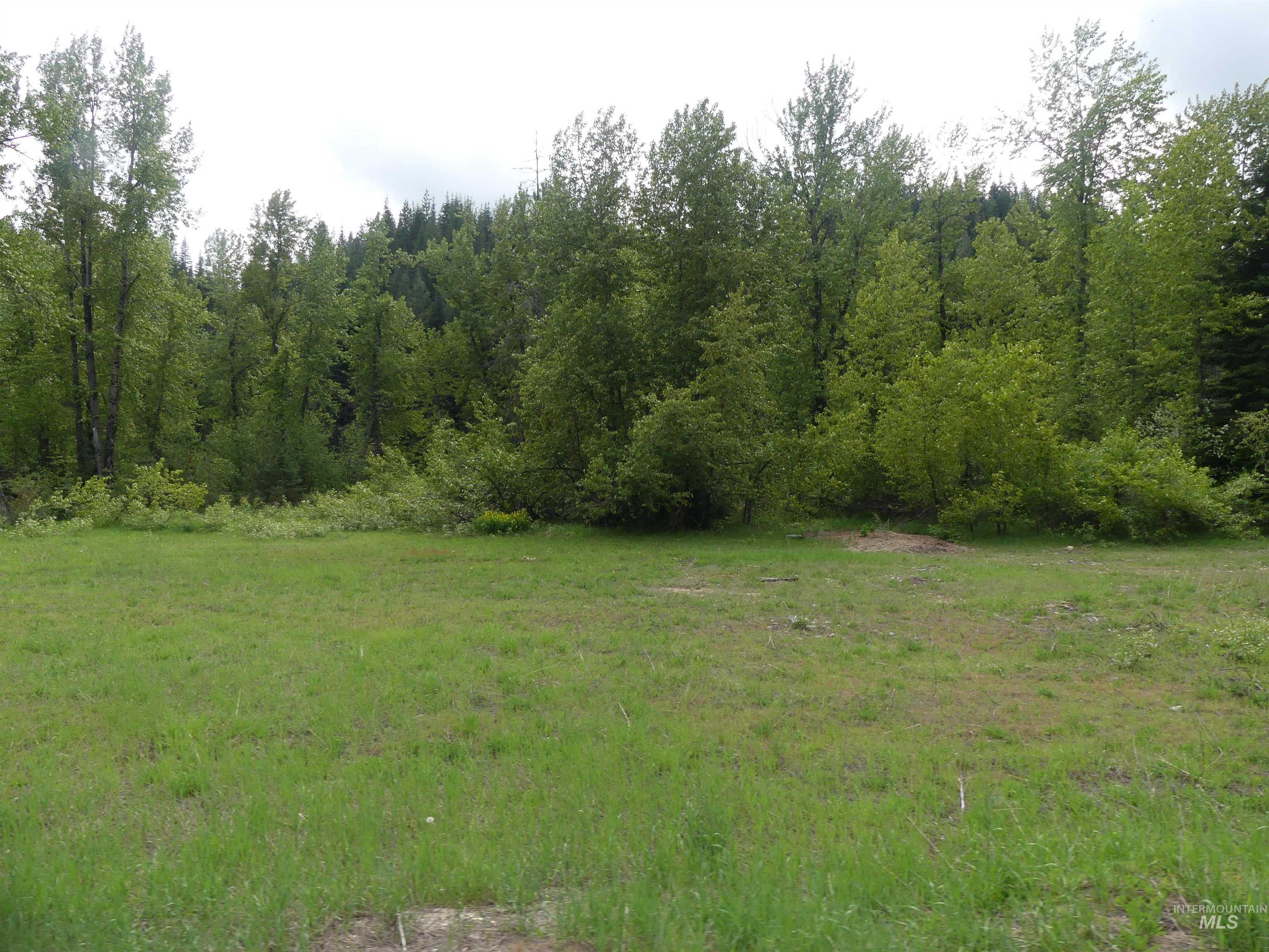 256 Beaver Lane Property Photo 13