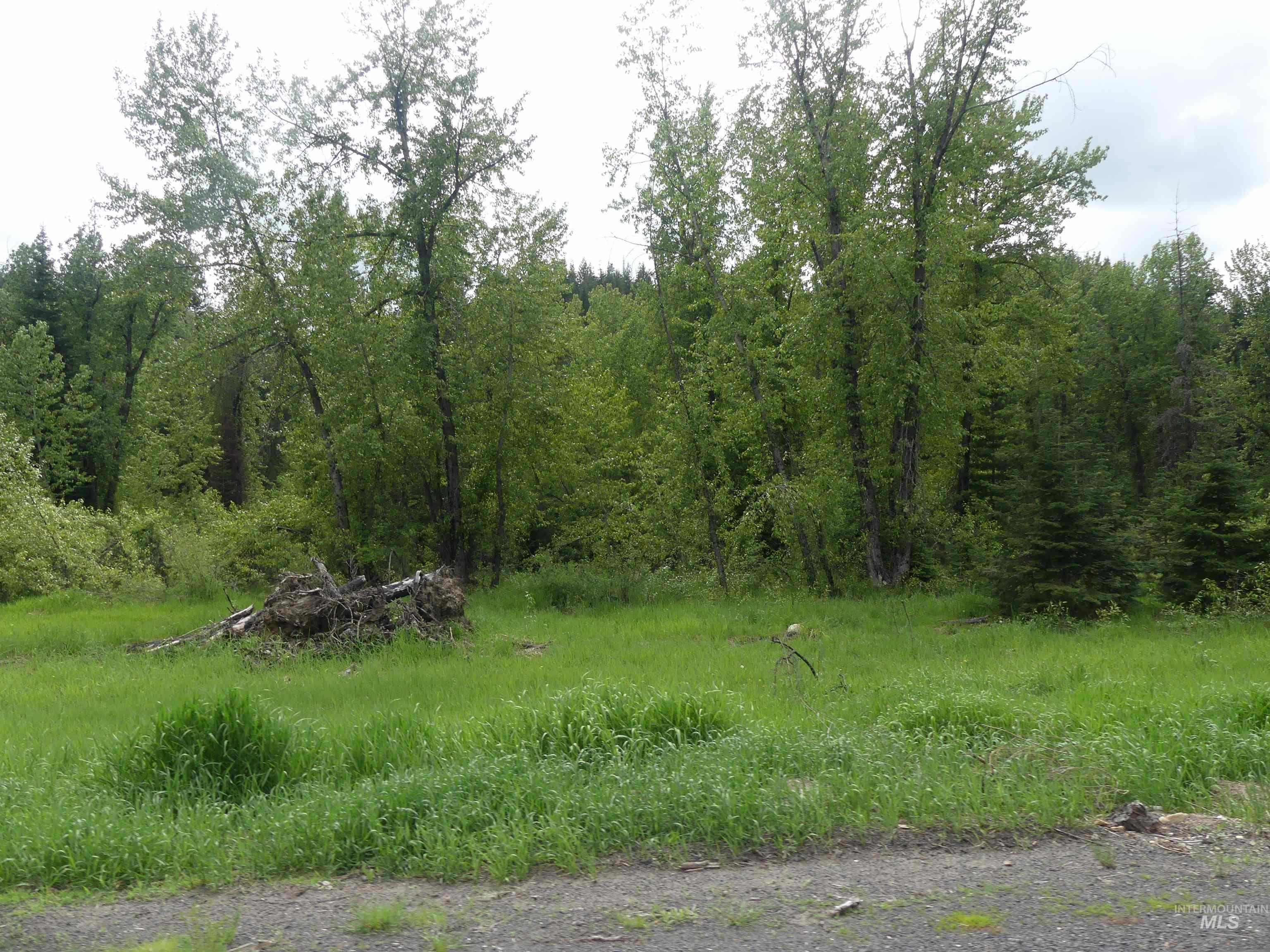 256 Beaver Lane Property Photo 15