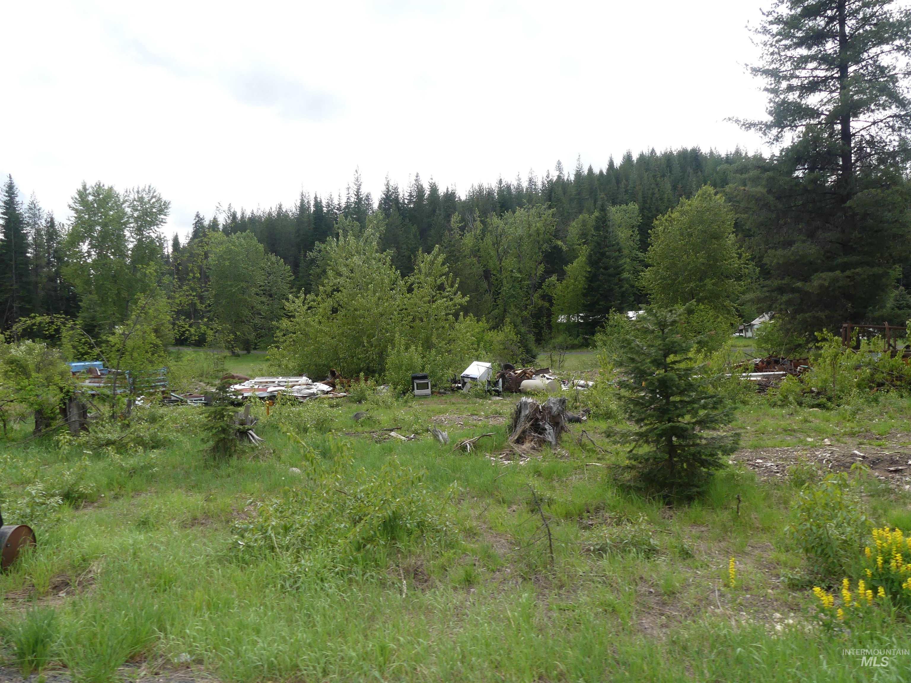 256 Beaver Lane Property Photo 23