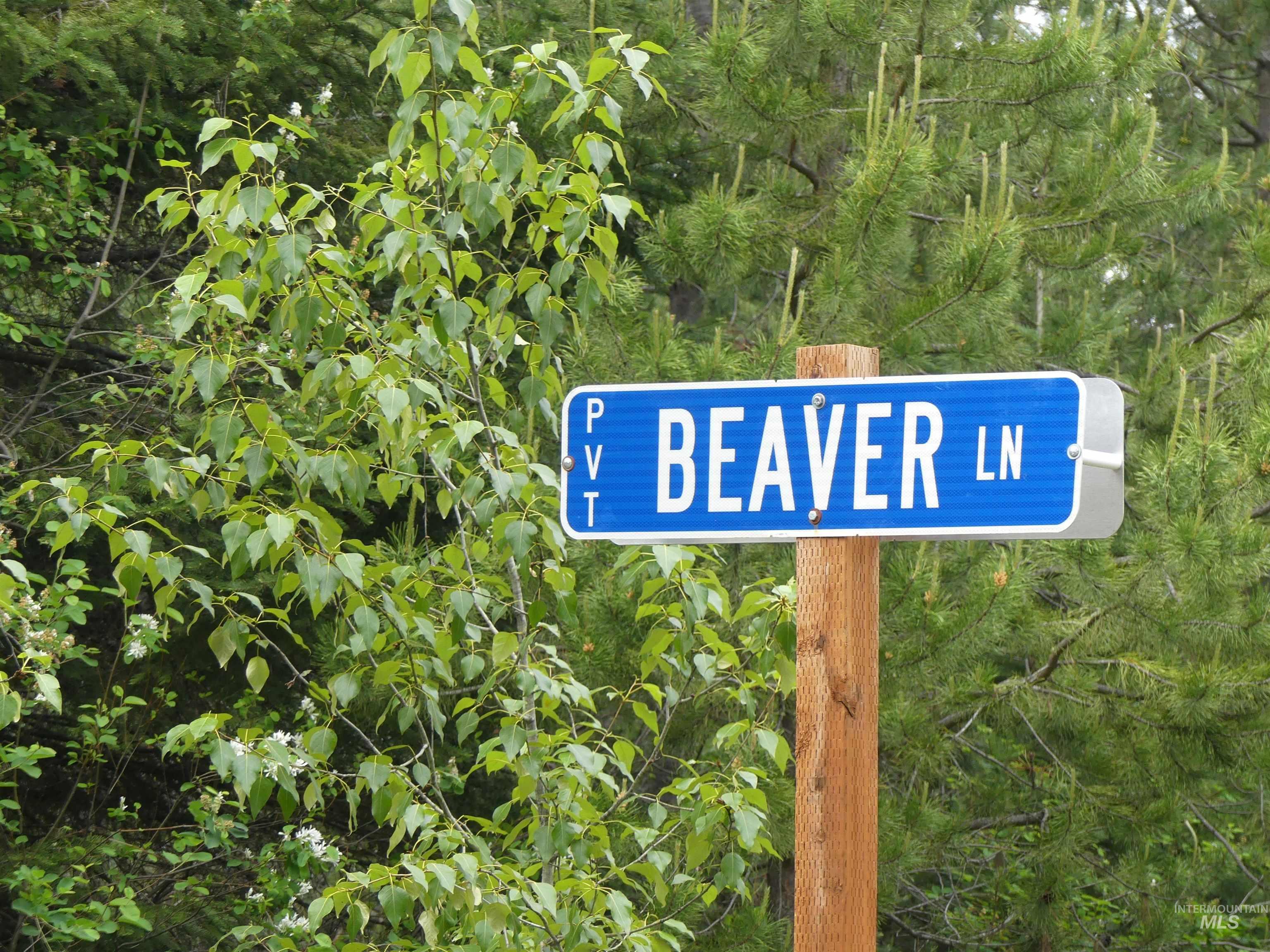 256 Beaver Lane Property Photo 28